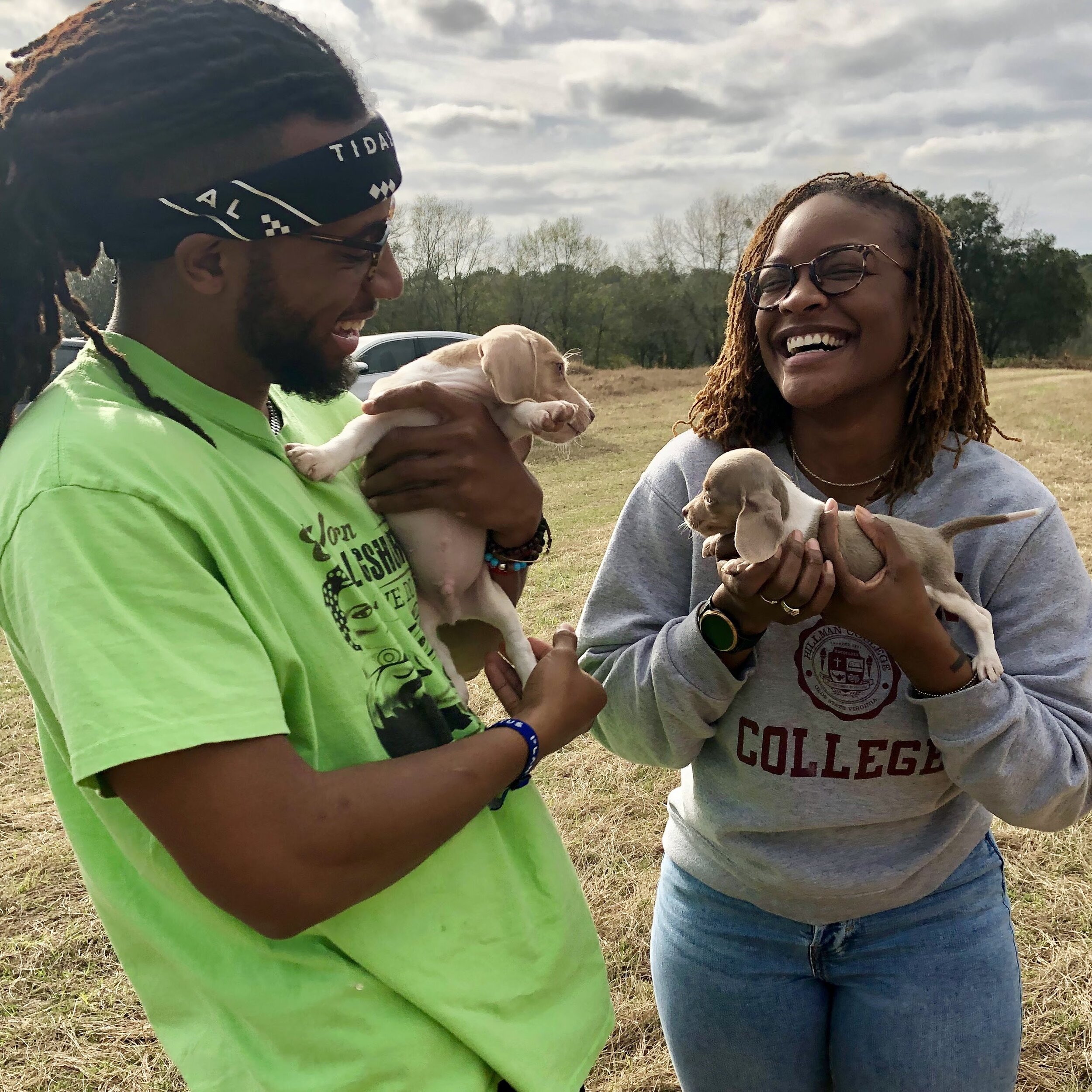 sunshine acres beagles