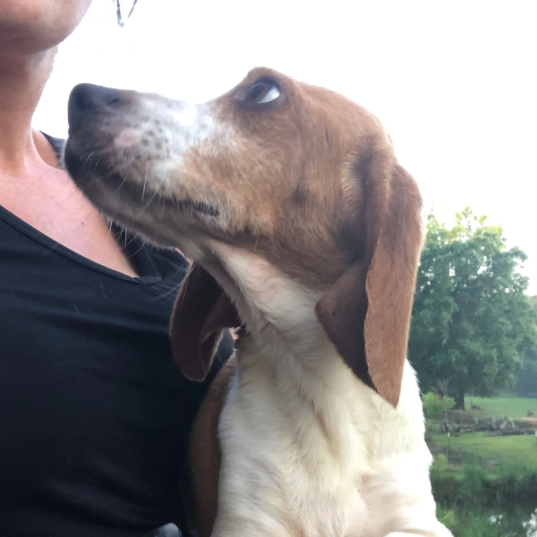 Lennie-4.jpg