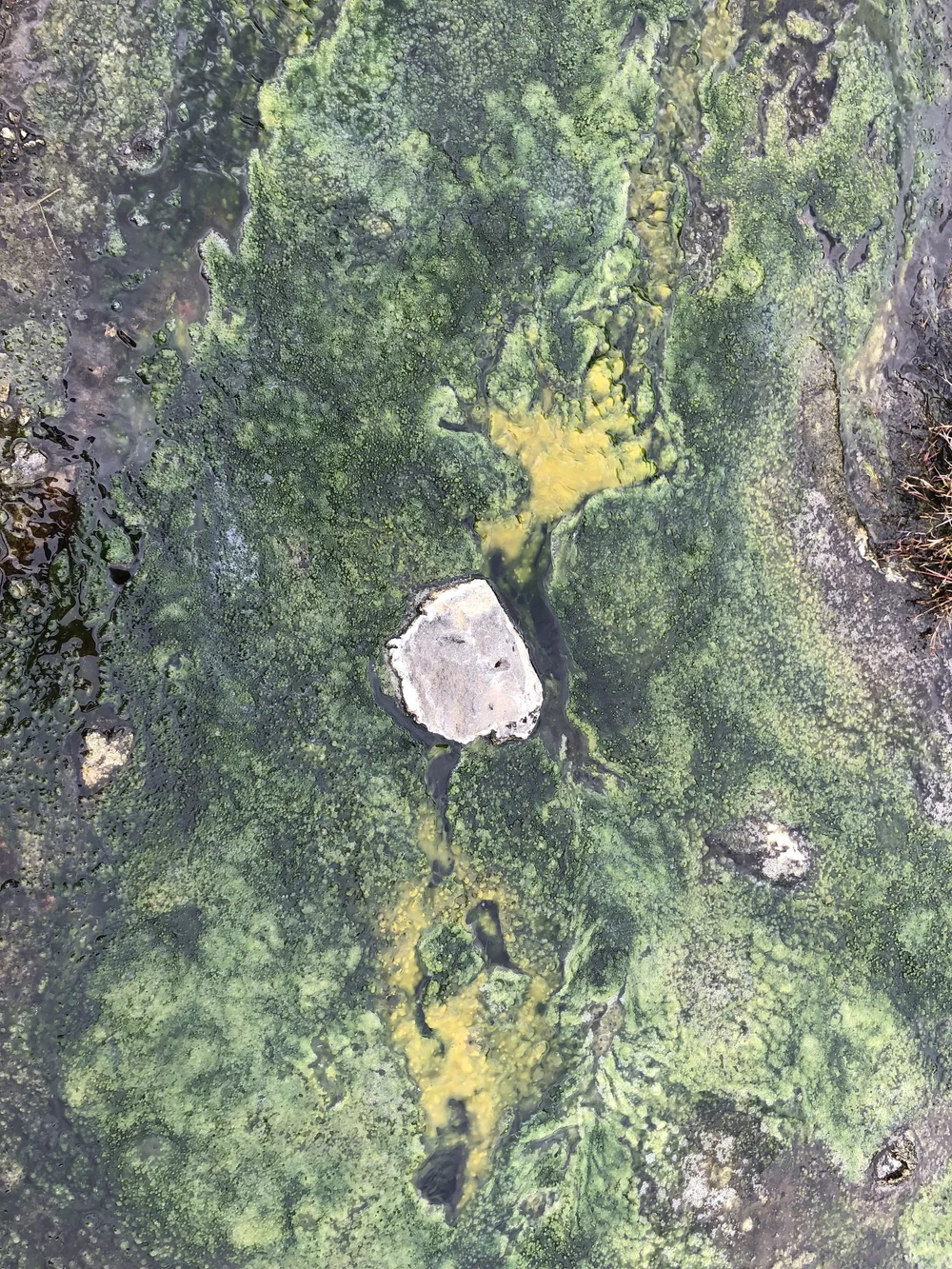 Reykjadeur Hot Spring Thermal River ....jpg