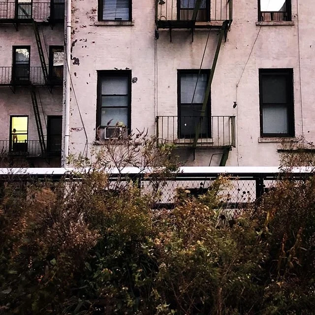 Landscape architecture, urban design and ecology.

#bigapple #bigcitylife #urbanphotography #urban #urbanjungle #ecofriendly #ecology #architecture #buildings #buildingsofinstagram #highlinenyc #highlinepark #nyc #newyork #newyorkcity