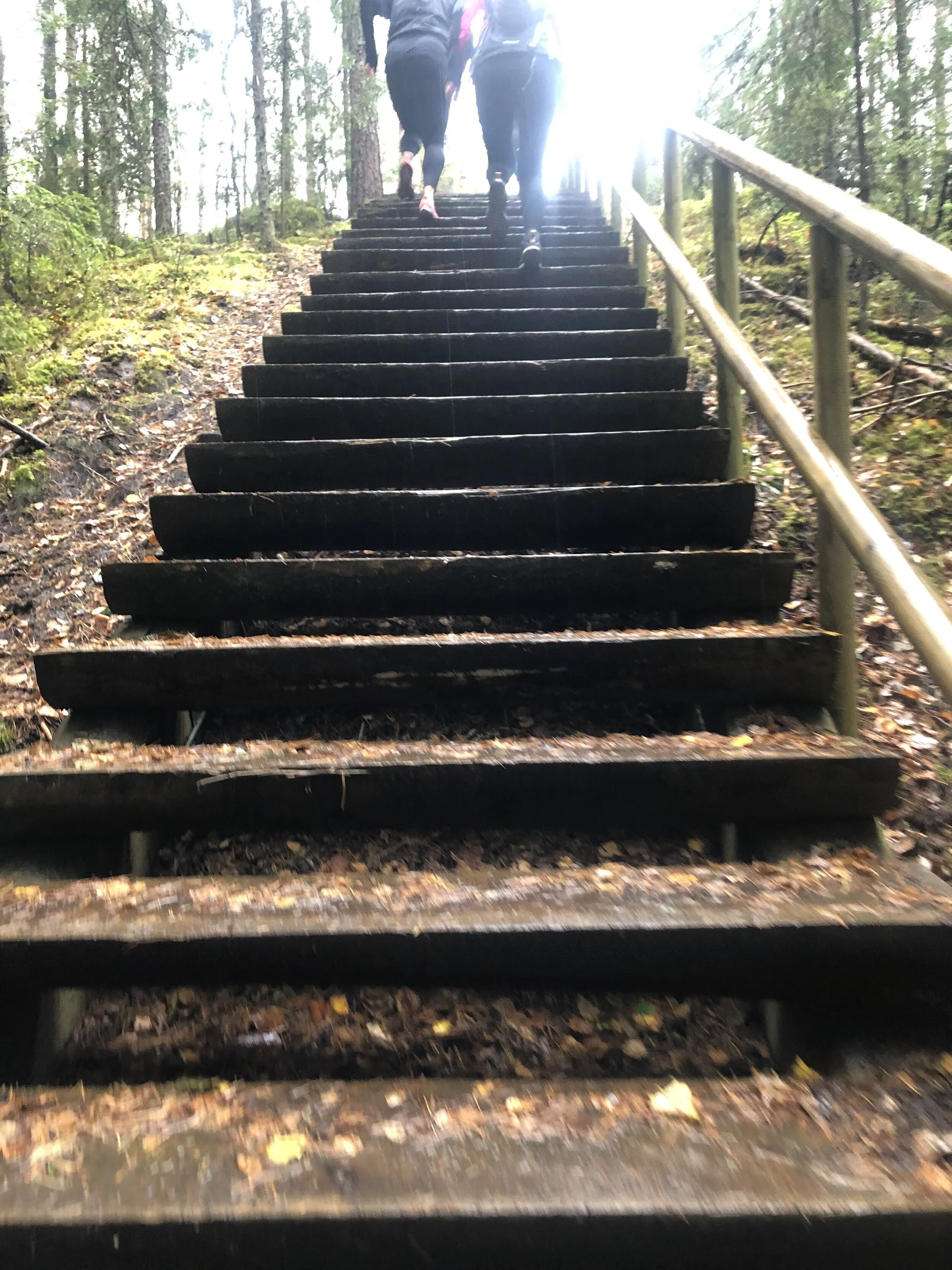 Eesti Maastikumaraton...jpg