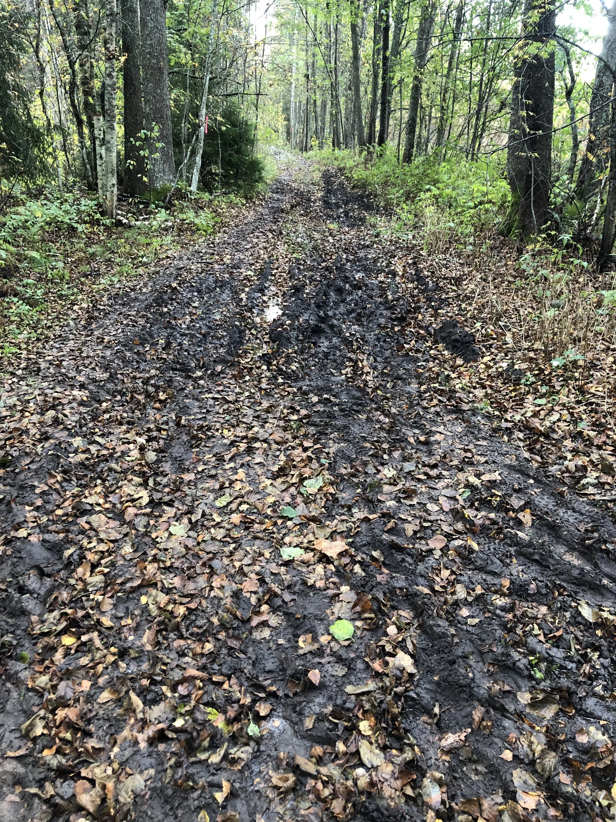 Eesti Maastikumaraton...jpg