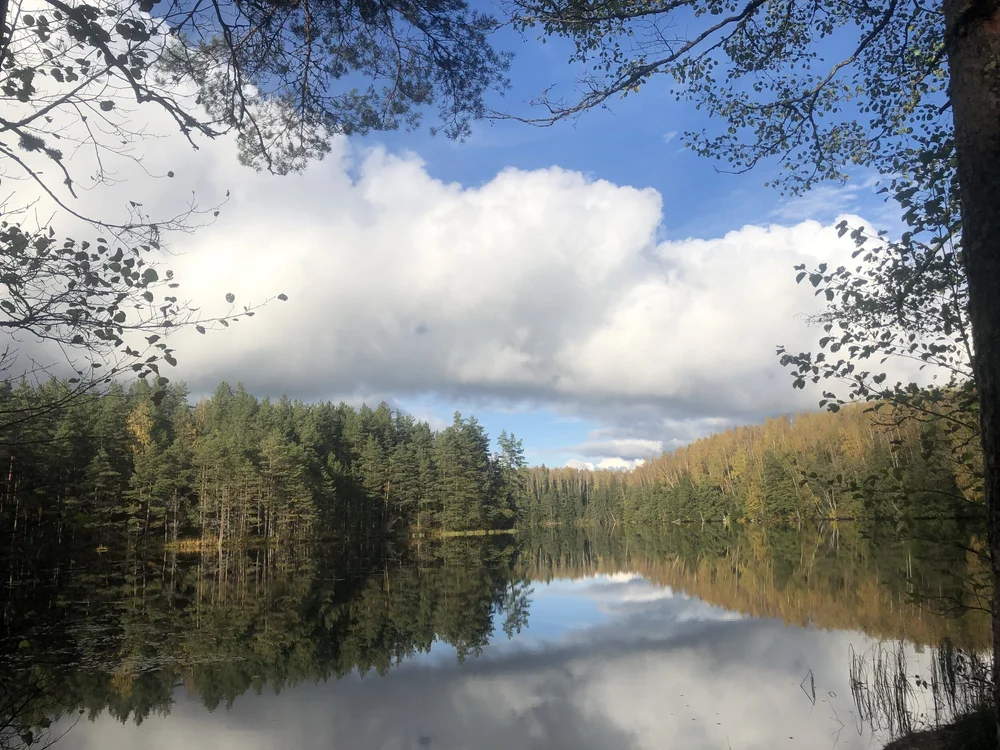 Maastikumaraton ...jpg