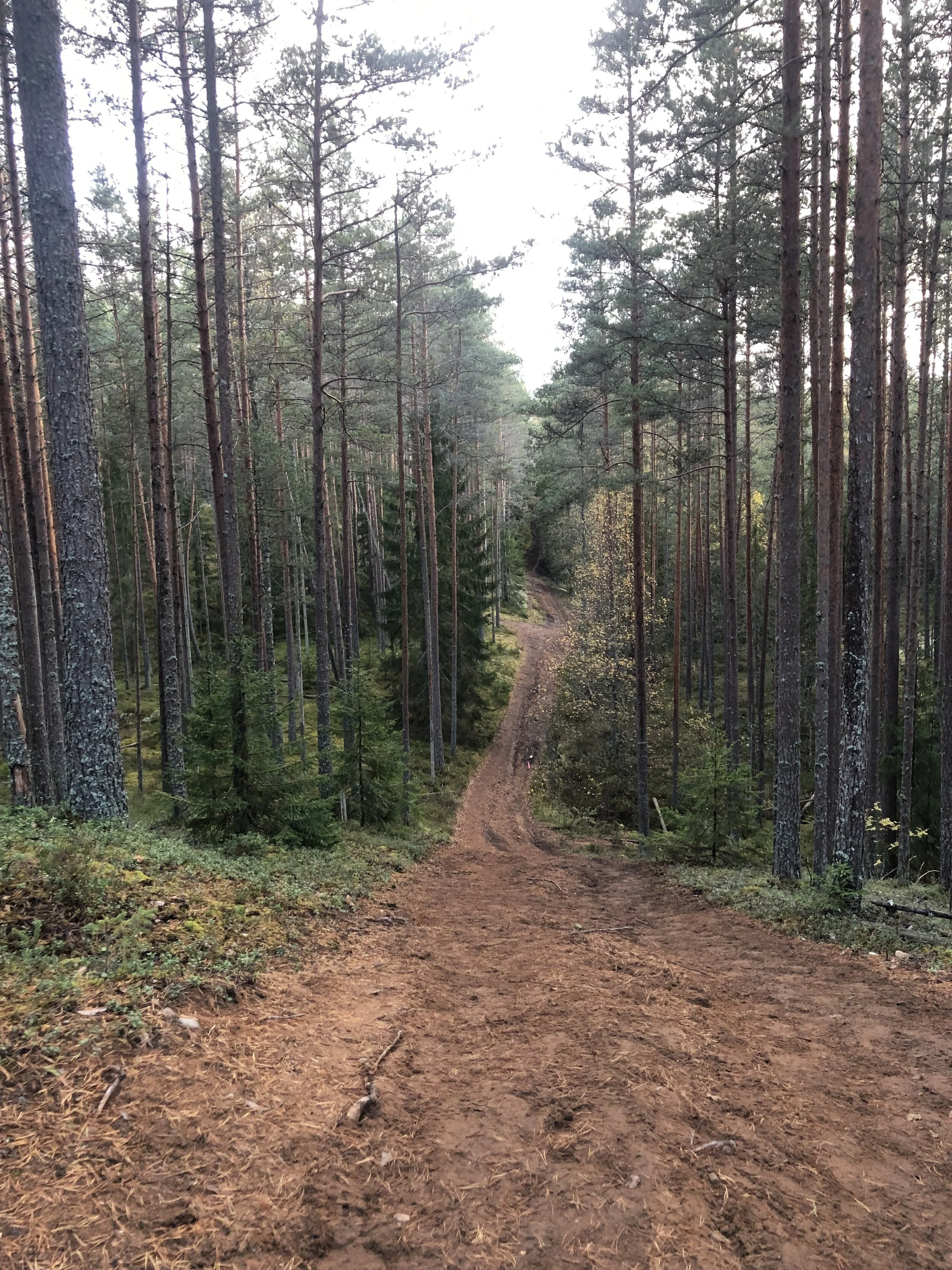 Eesti Maastikumaraton...jpg