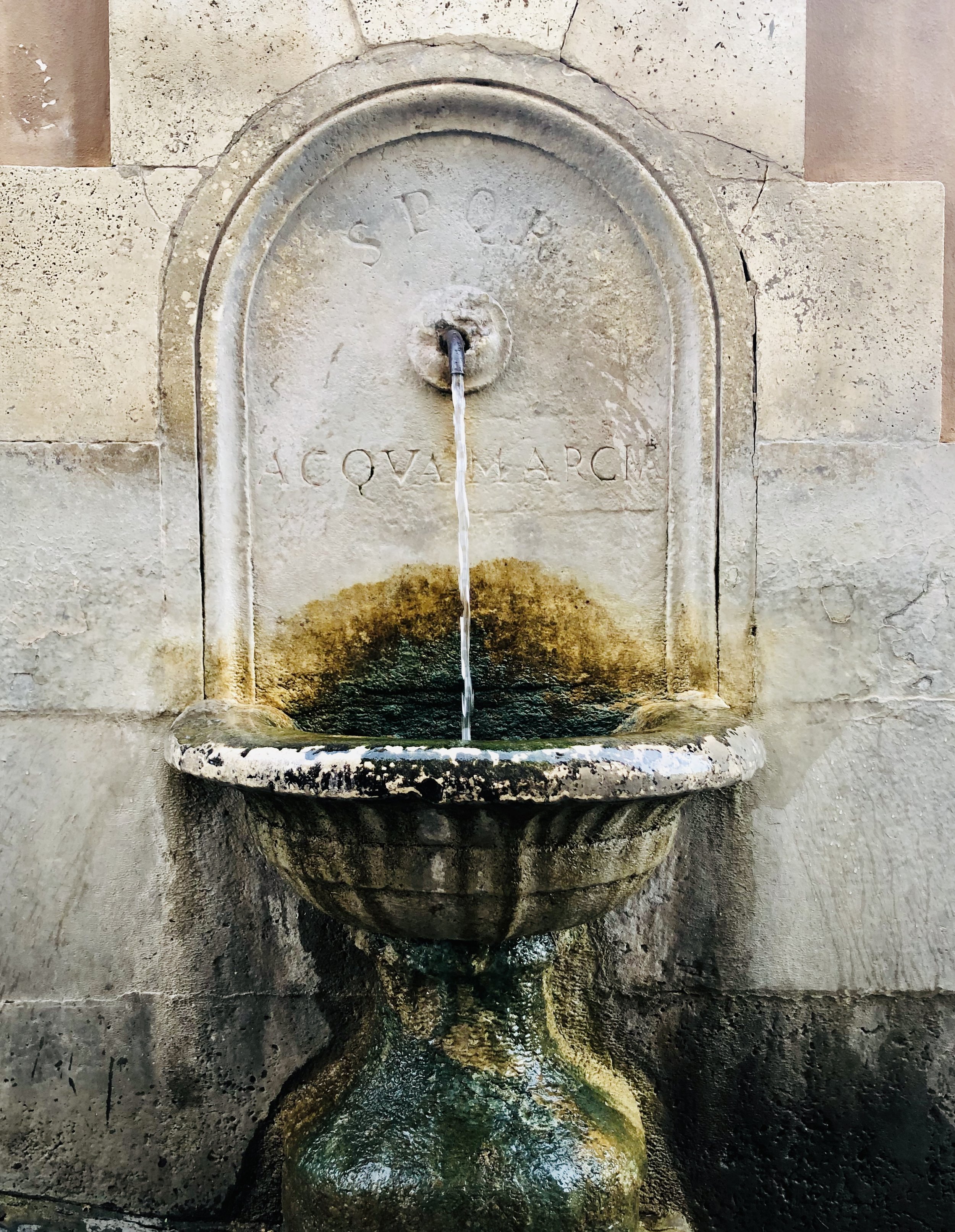 Nasoni Rome...jpg