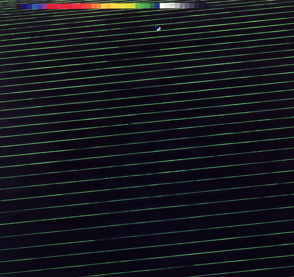 Black Fibre Sense Net, 108" x 108", 1990