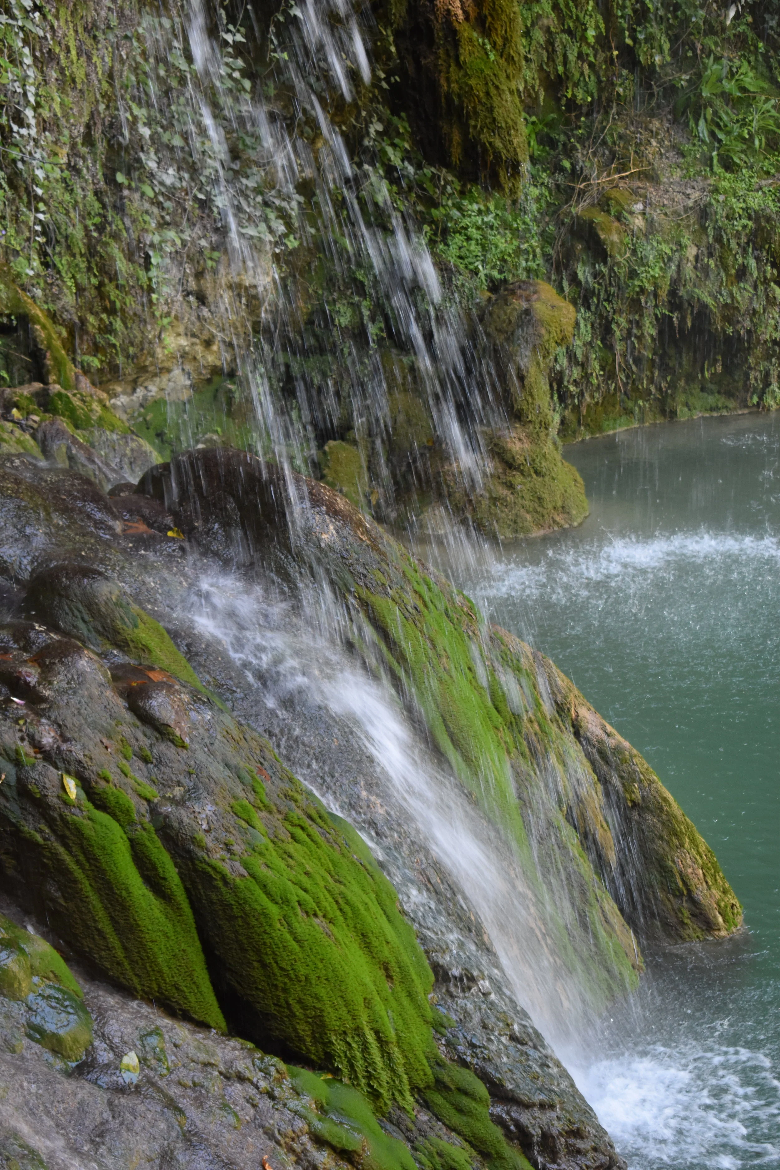 Waterfall cascading over moss-covered rocks into a pool surrounded by greenery.