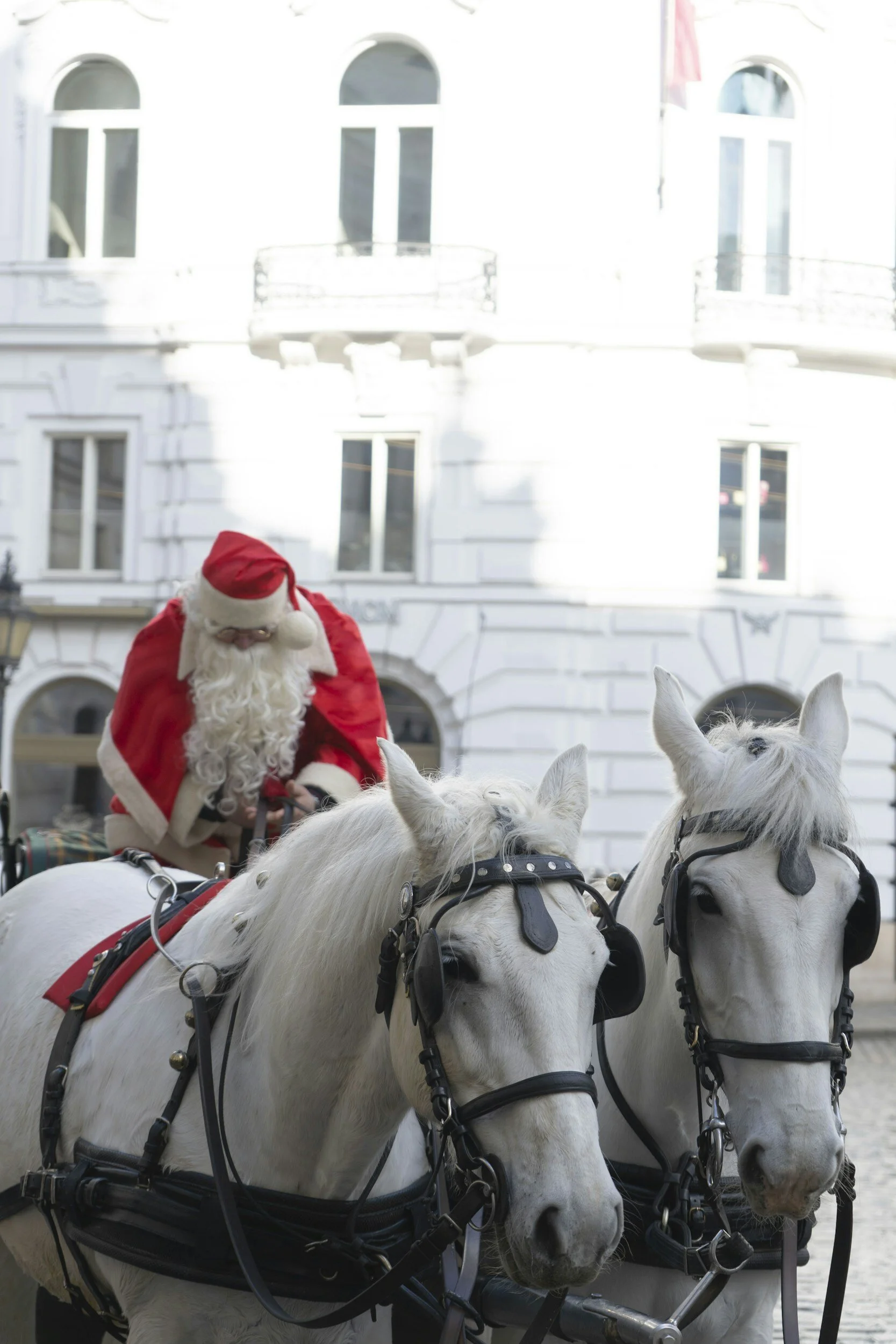 Santa Claus in a red coat and hat riding white horses in front of a white building.