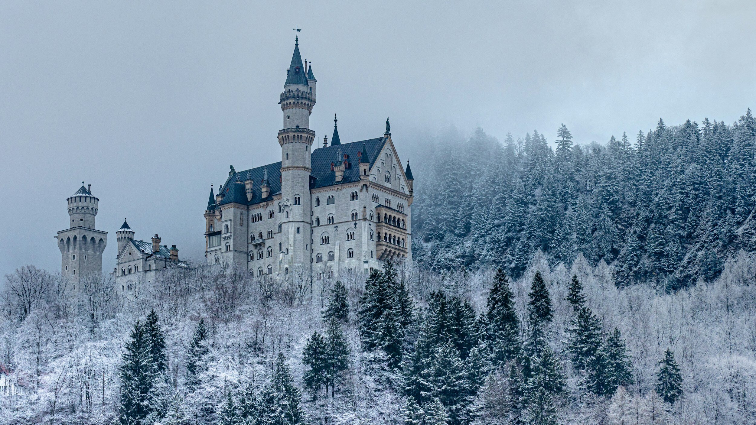 A snowy castle on a hill with forest in the background, featuring multiple towers and turrets.