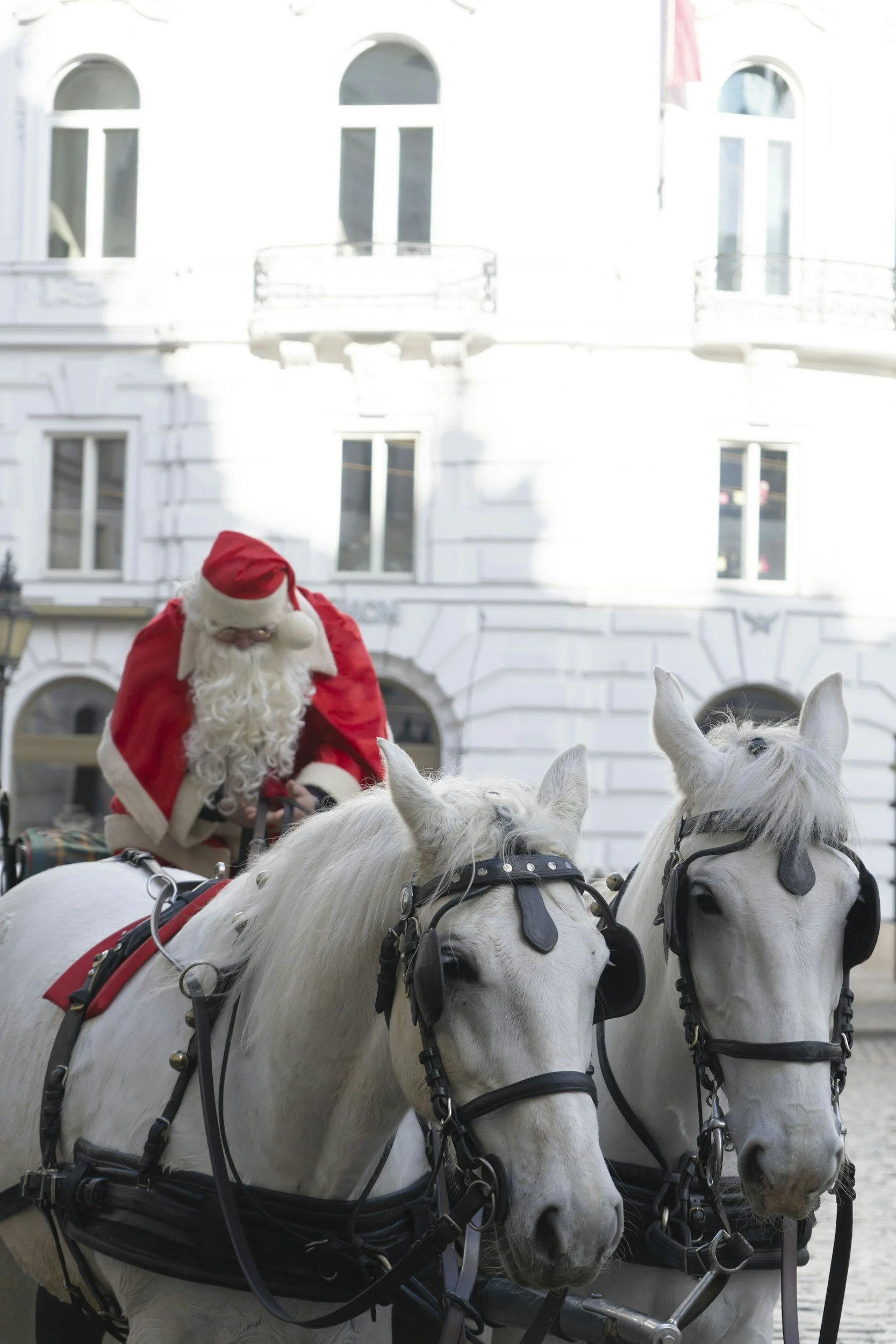 Santa Claus riding a horse-drawn carriage, two white horses hitched to the carriage, in front of a white building.
