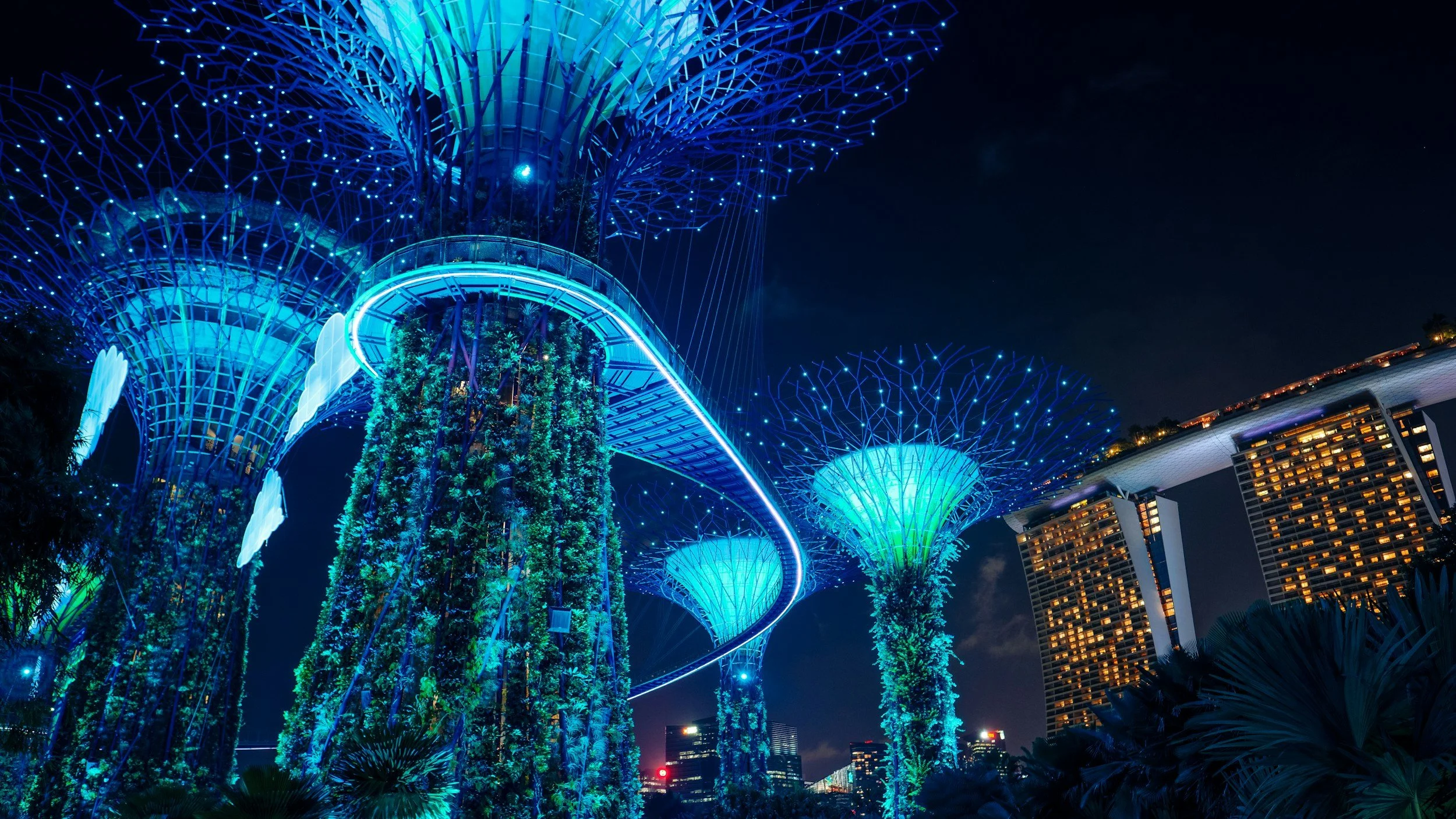 Night view of the Supertree Grove at Gardens by the Bay in Singapore, illuminated with blue lights, featuring towering vertical gardens and futuristic structures.