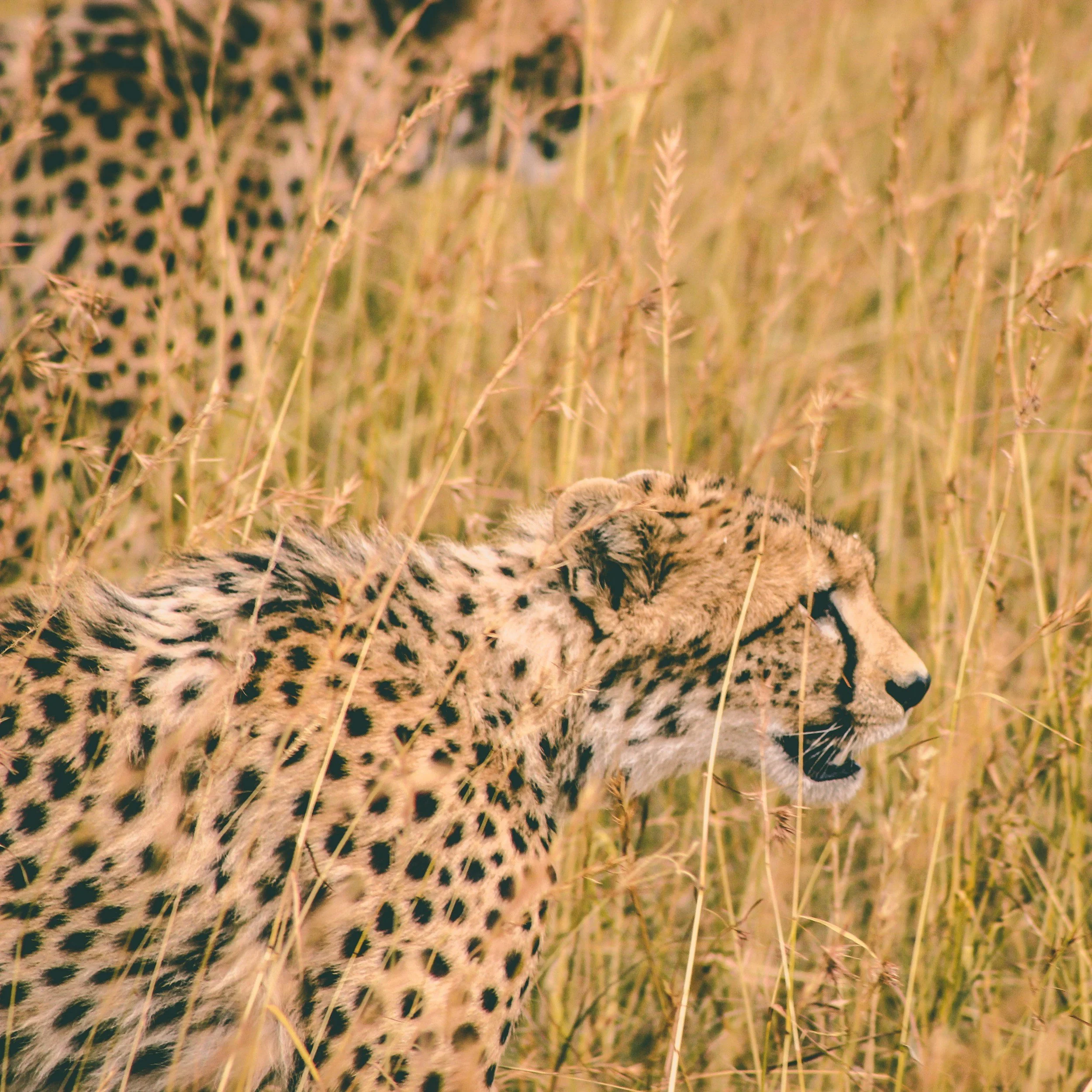 unsplash-image-lGK_fg0frxw.jpg