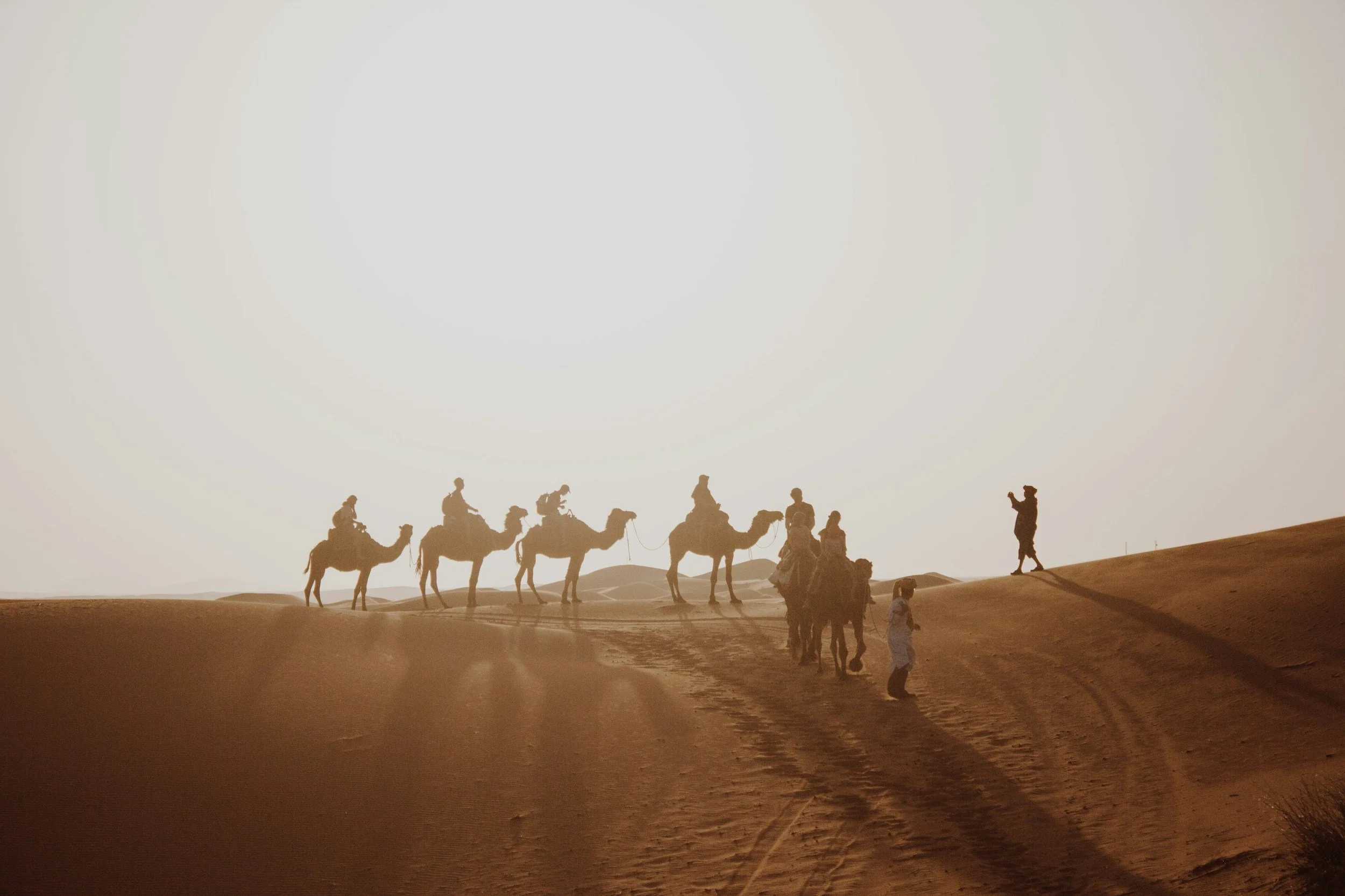 Silhouettes of people riding camels through the desert at sunset or sunrise.