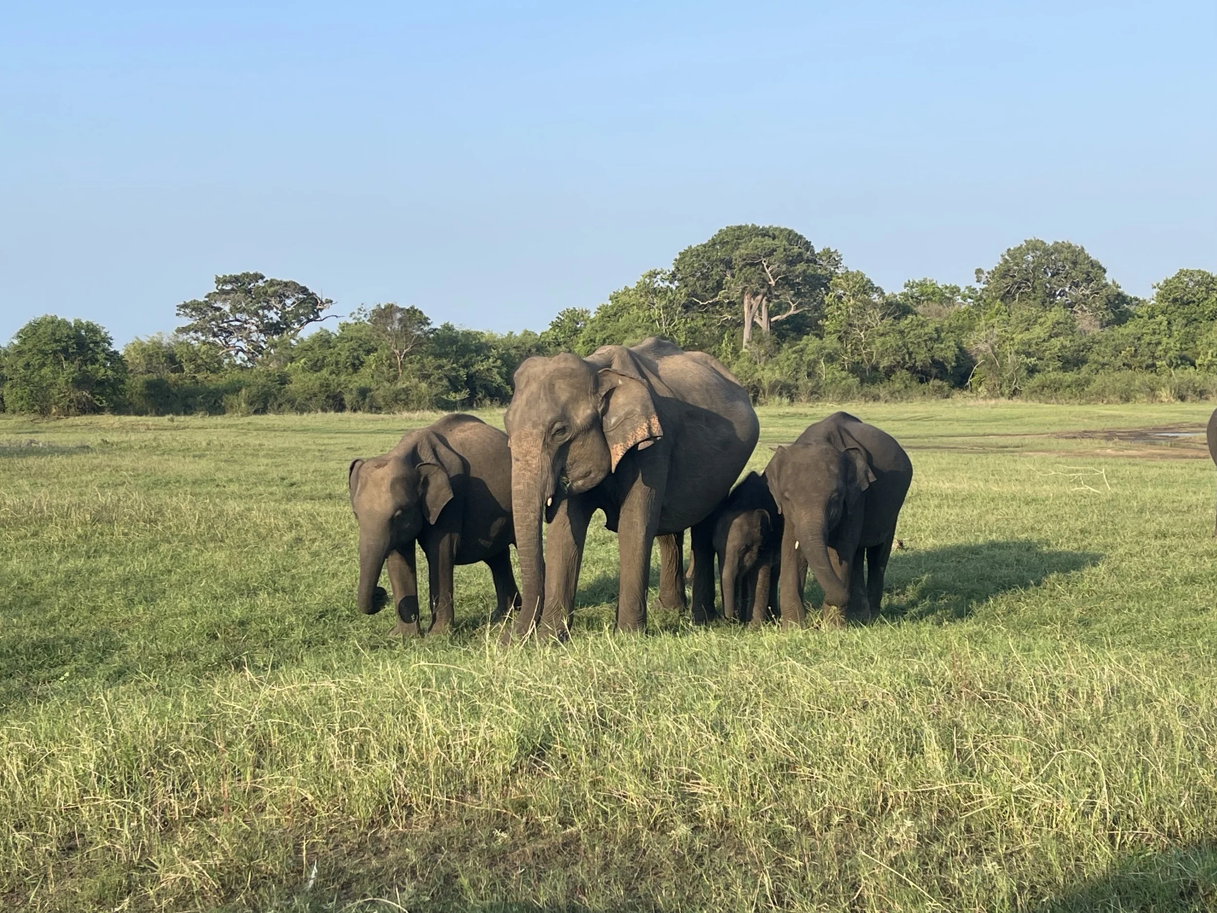 The Teardrop of India