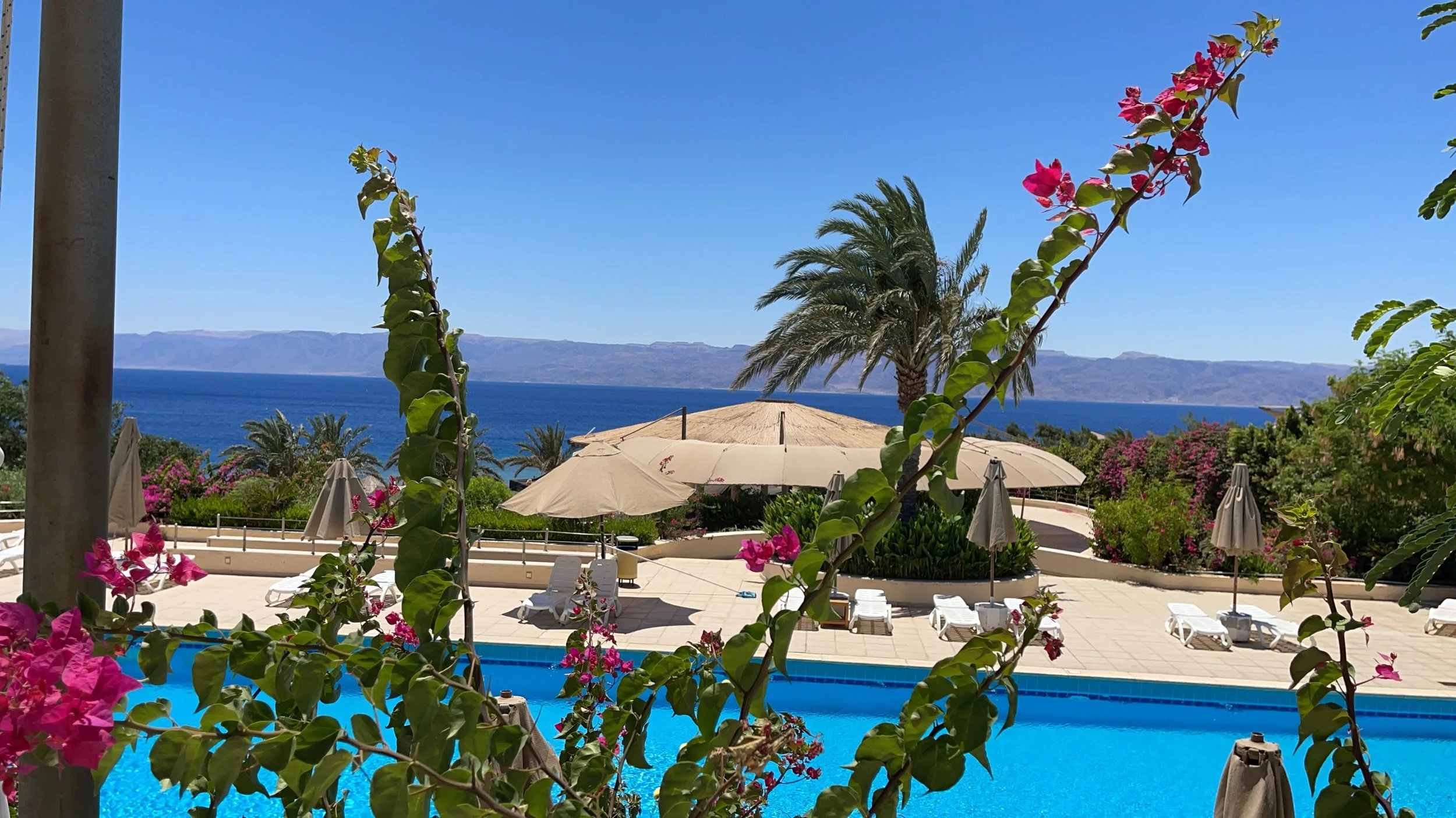 Swimming pool area at a seaside resort with umbrellas, lounge chairs, and pink flowering plants, overlooking the ocean with mountains in the background under a clear blue sky.