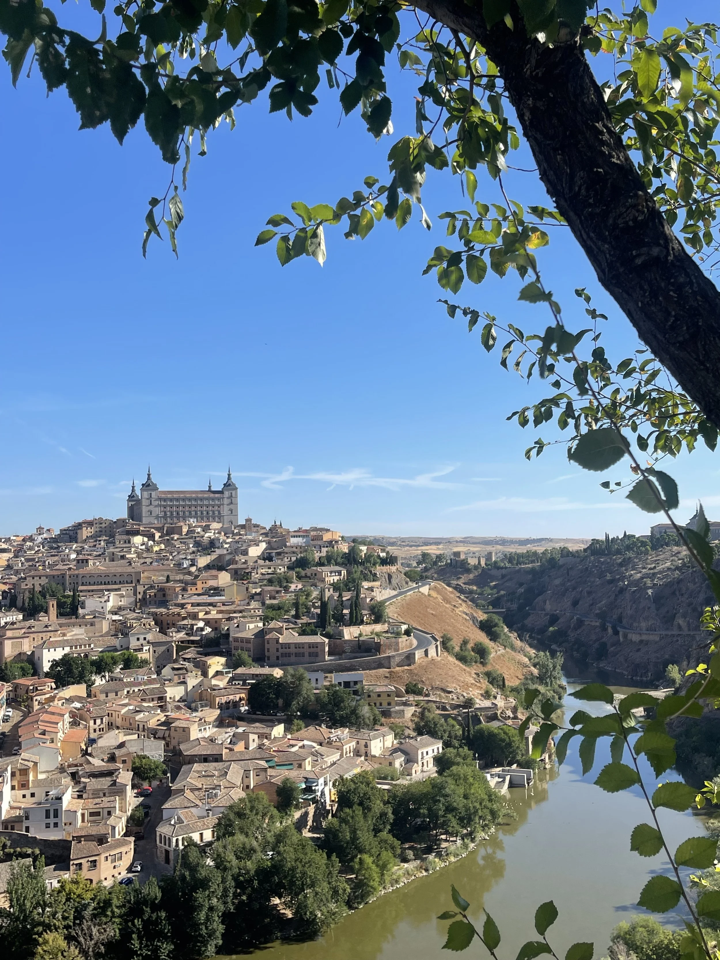 A scenic view of a historic European city with a river flowing through it, houses on a hillside, and a large castle or cathedral atop the hill, under a clear blue sky. Leafy branches frame the top and right side of the image.