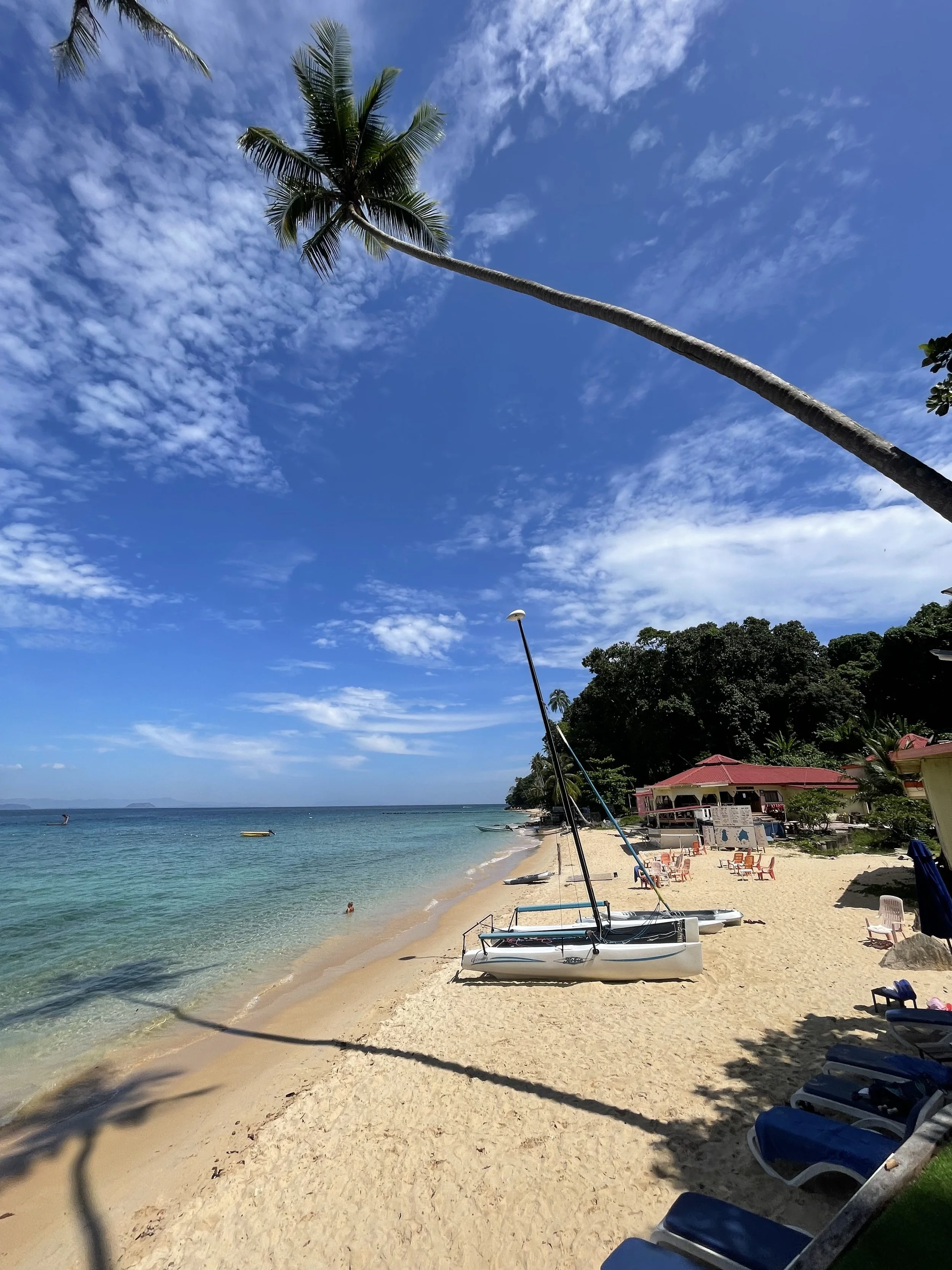 A tropical beach scene with a sandy shore, sailboats, and palm trees under a partly cloudy blue sky.
