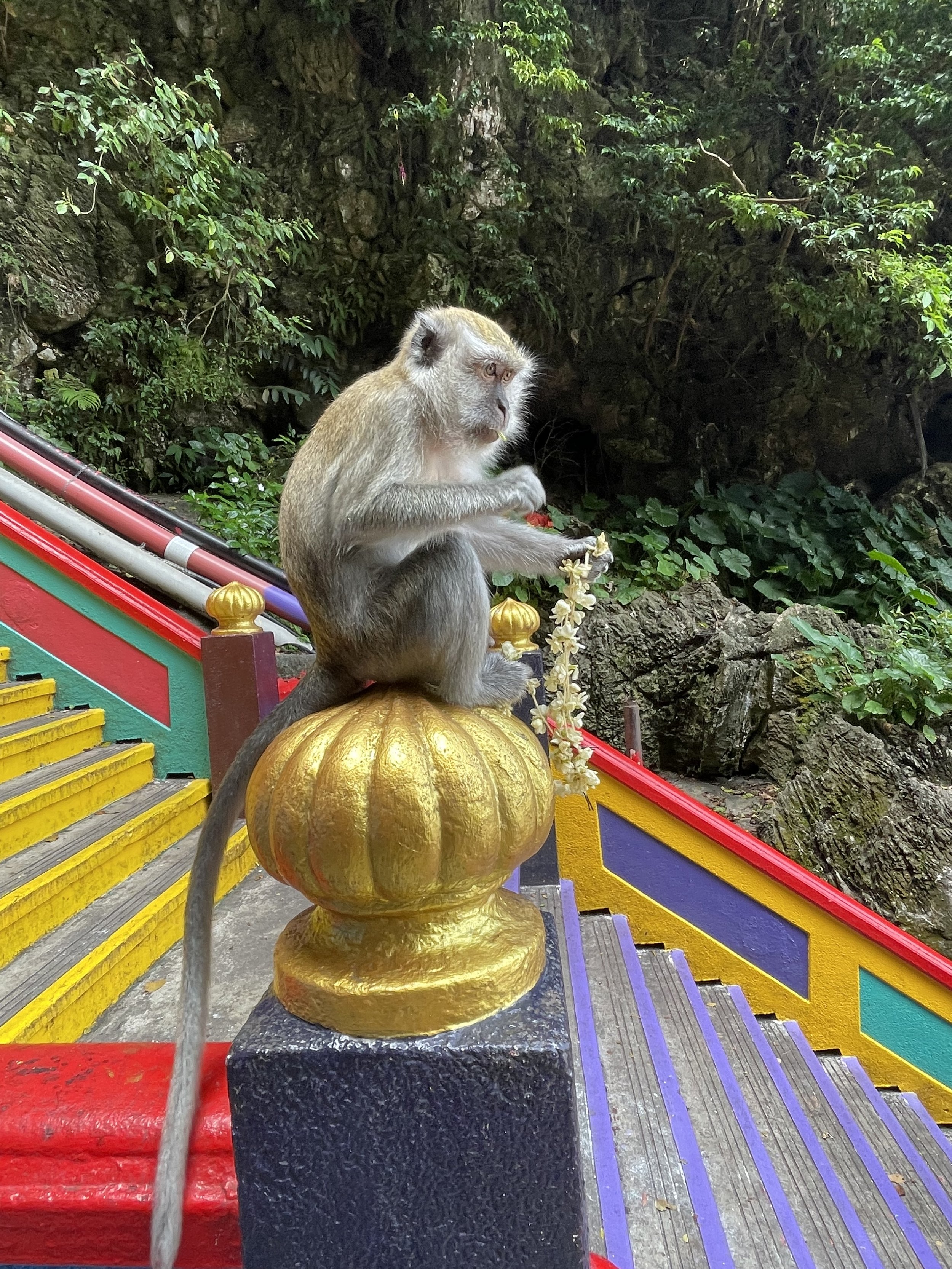 A monkey sitting on a decorated, rounded golden ornament on a colorful, tiered staircase with greenery in the background.