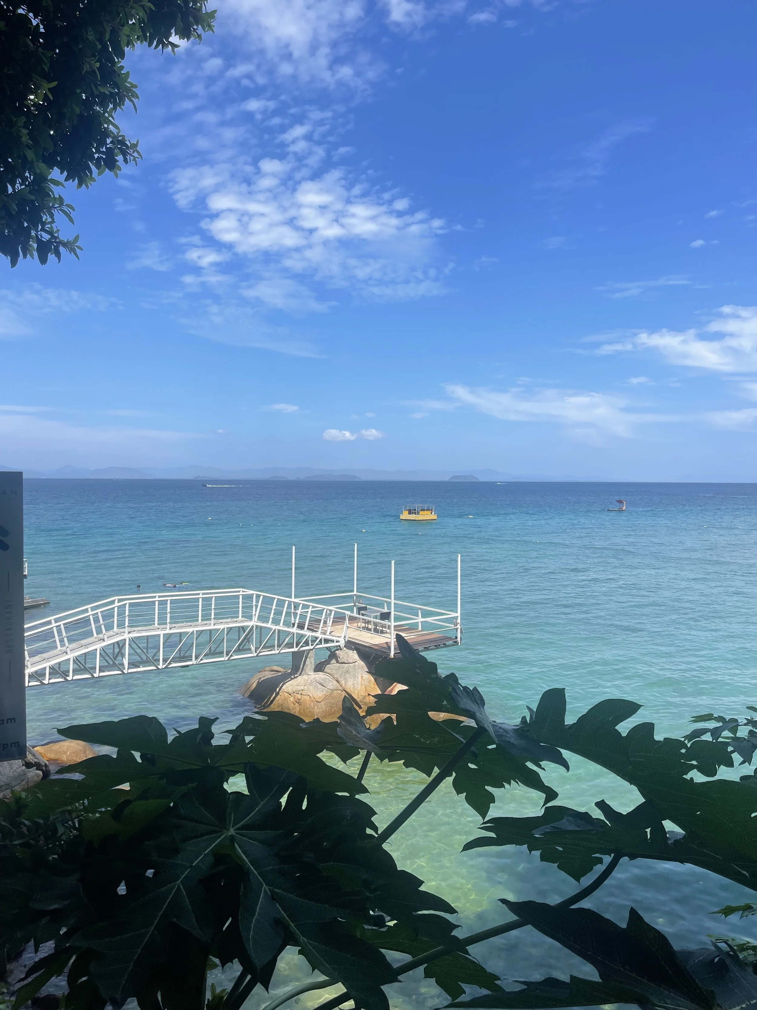 View of the ocean with a clear blue sky, a small pier extending into the water, and a boat floating in the distance, framed by green foliage in the foreground.
