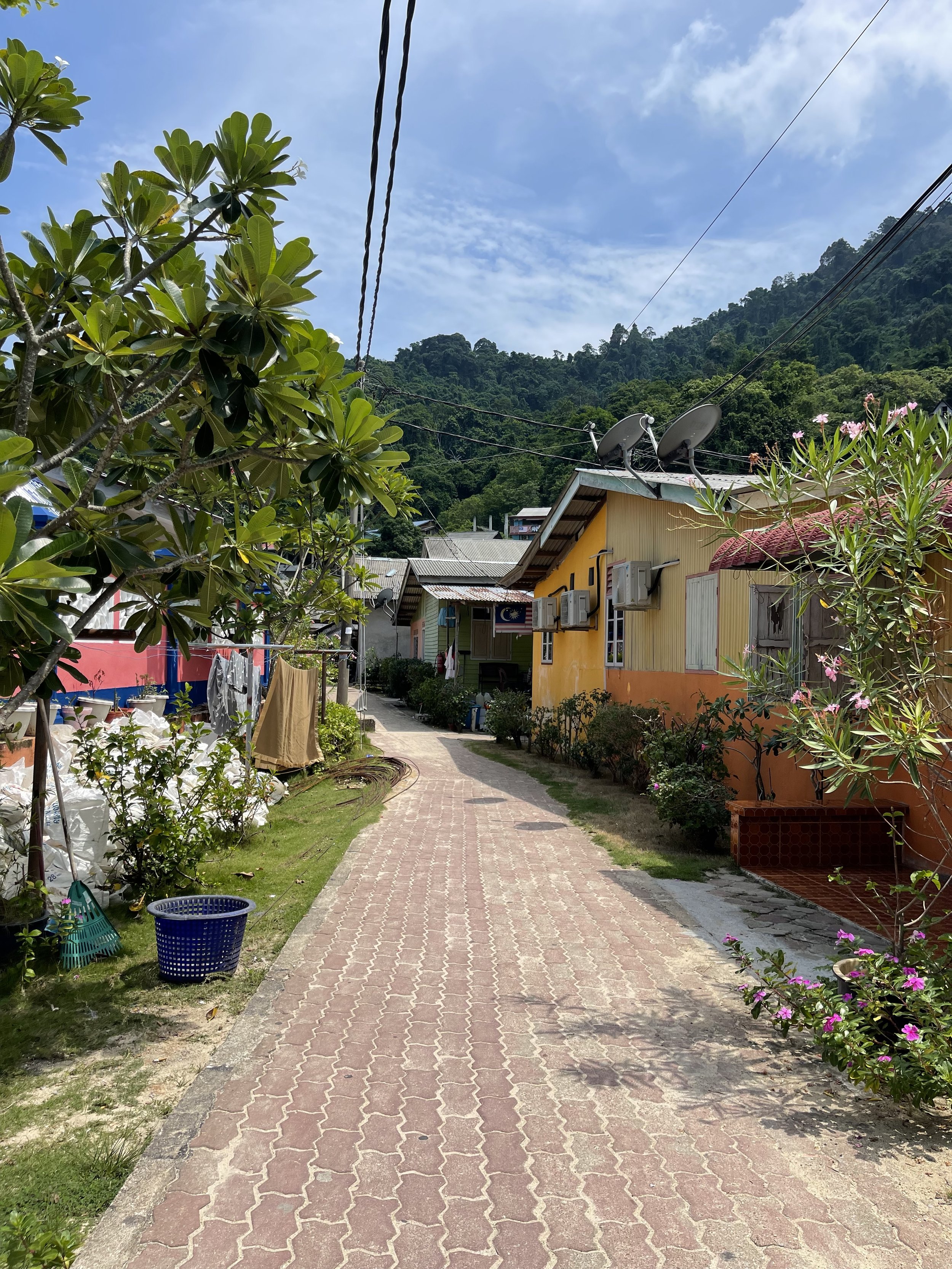 A narrow brick pathway winding through a residential neighborhood with colorful houses, green plants, and satellite dishes, set against a lush green mountain and partly cloudy blue sky.