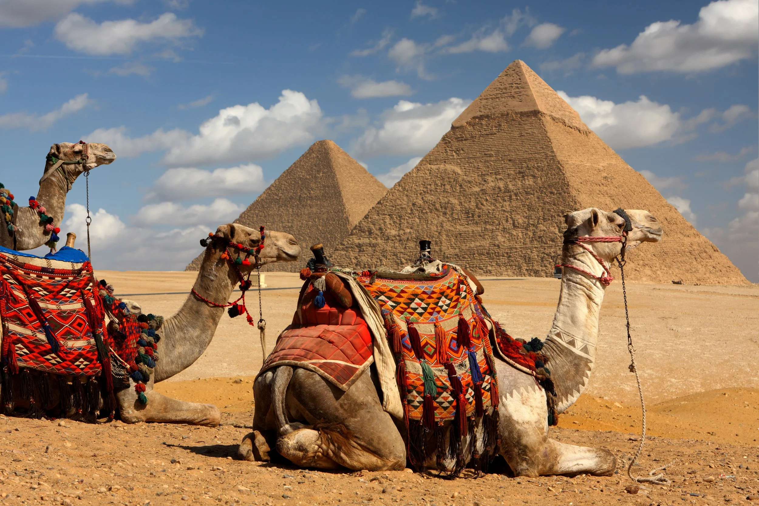 10 Days & 9 Nights in Egypt