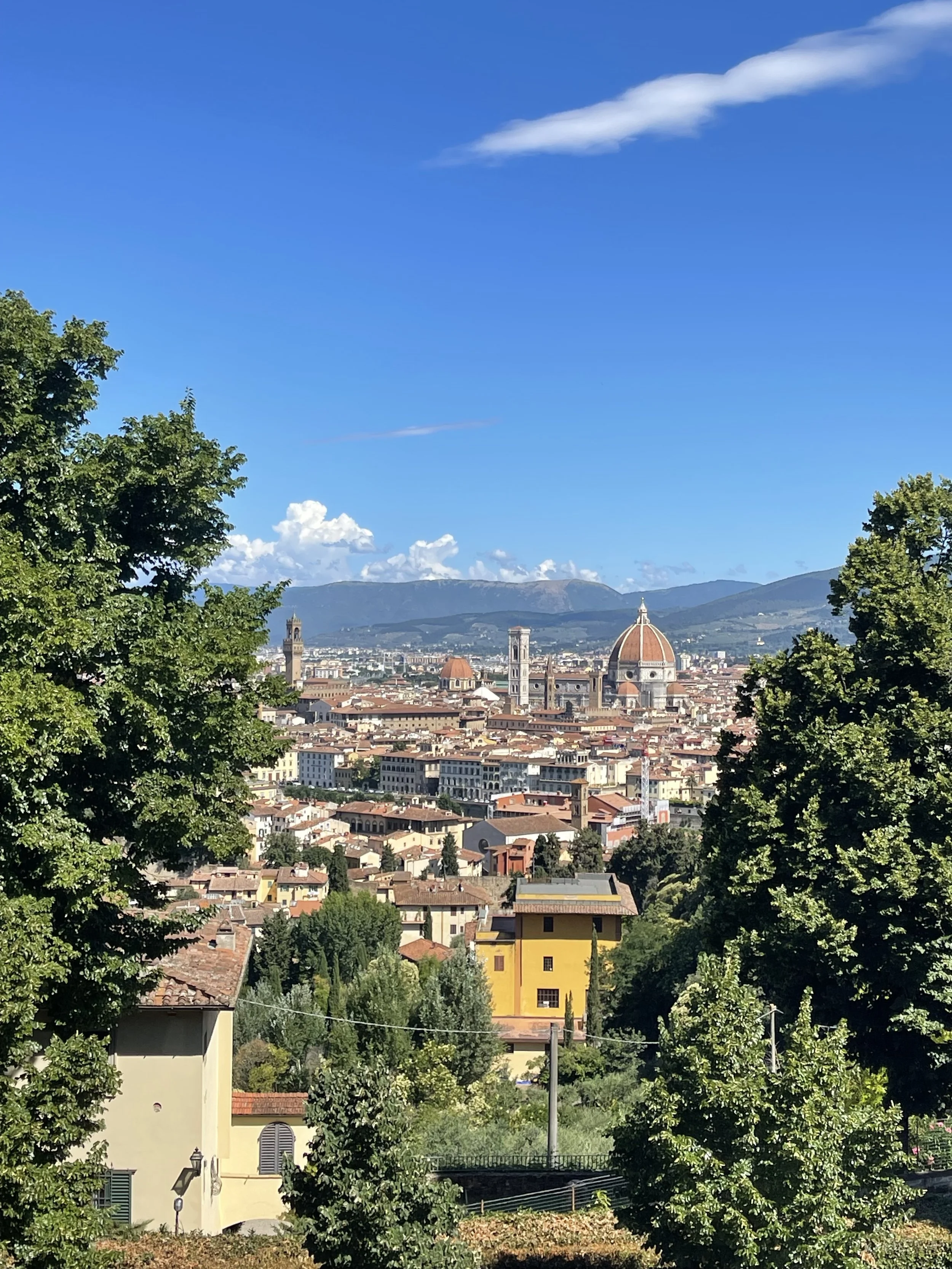A panoramic view of Florence, Italy, with the cathedral dome (Duomo) prominently visible, surrounded by colorful buildings and lush green trees under a clear blue sky.