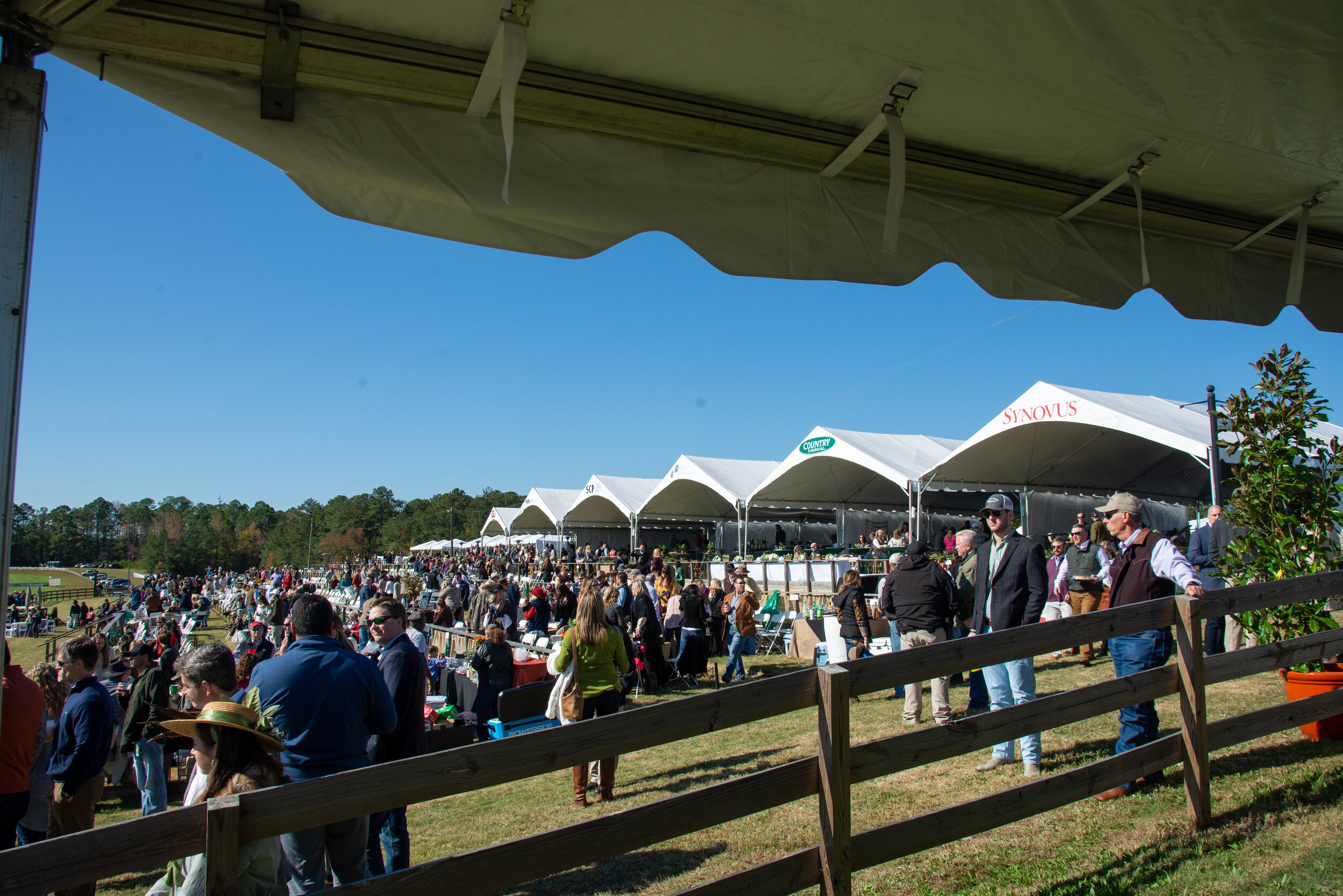 2019 Steeplechase at Callaway benefitting the Arts