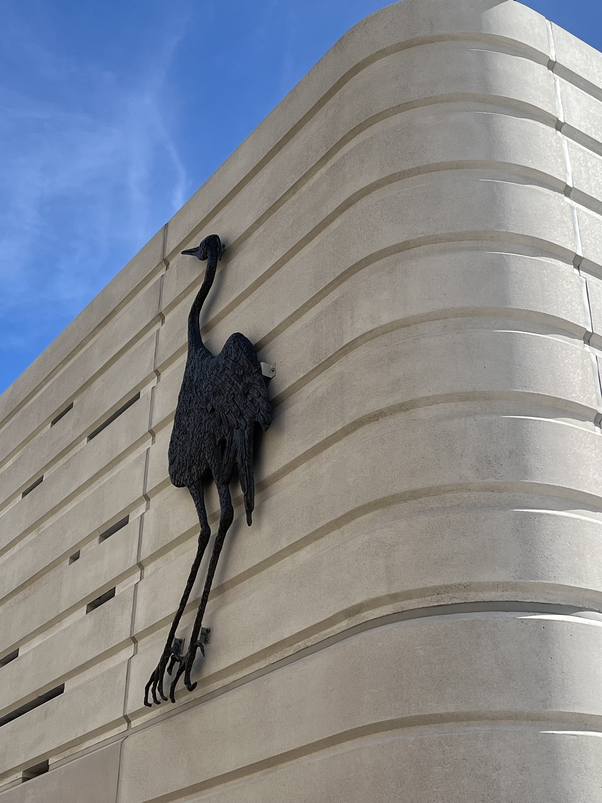 Standing Heron