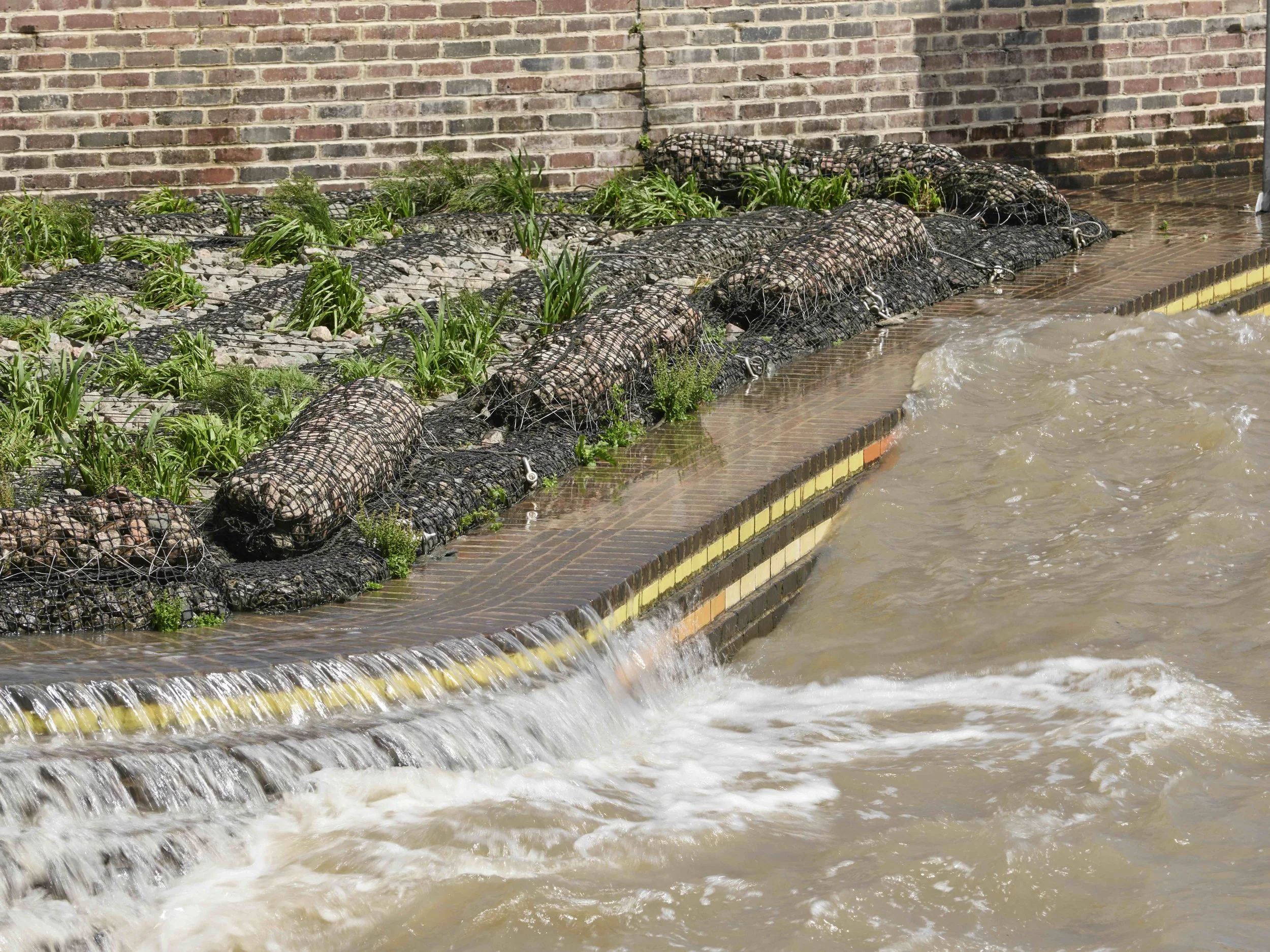 Photo: Tim Bowditch, courtesy the artist