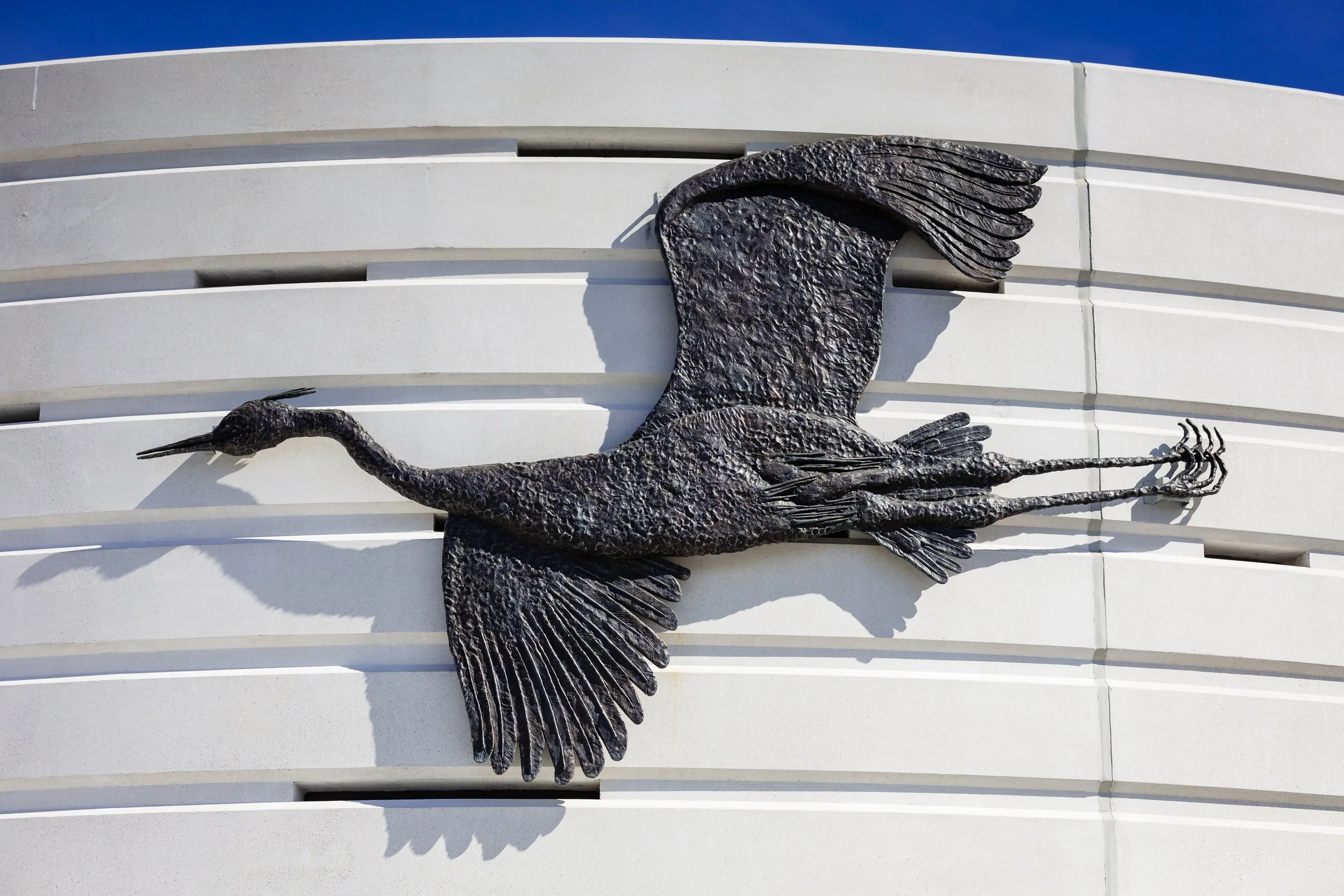 Heron in Flight by Sarah Staton