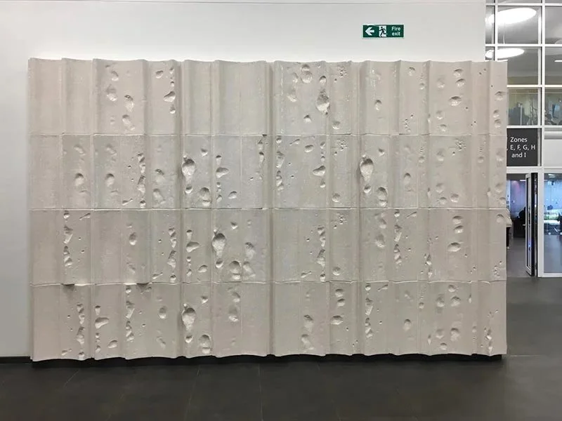 anya-gallaccio-05 copy.jpg