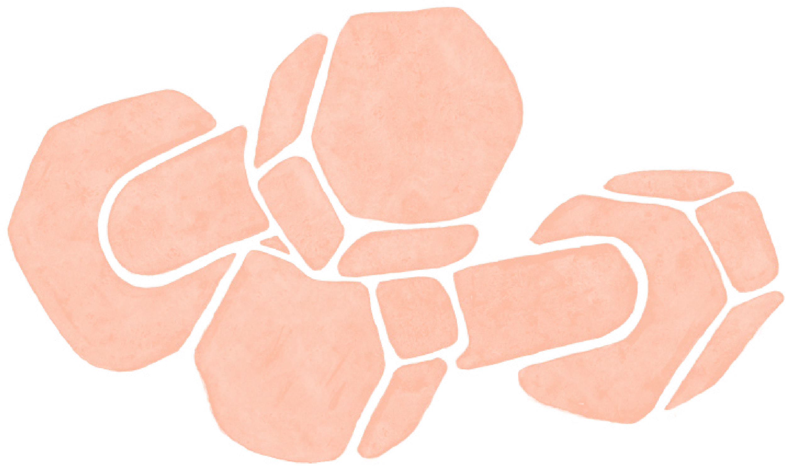 Pricing Sweat Inspire Sisterhood pricing-sweat-inspire-sisterhood