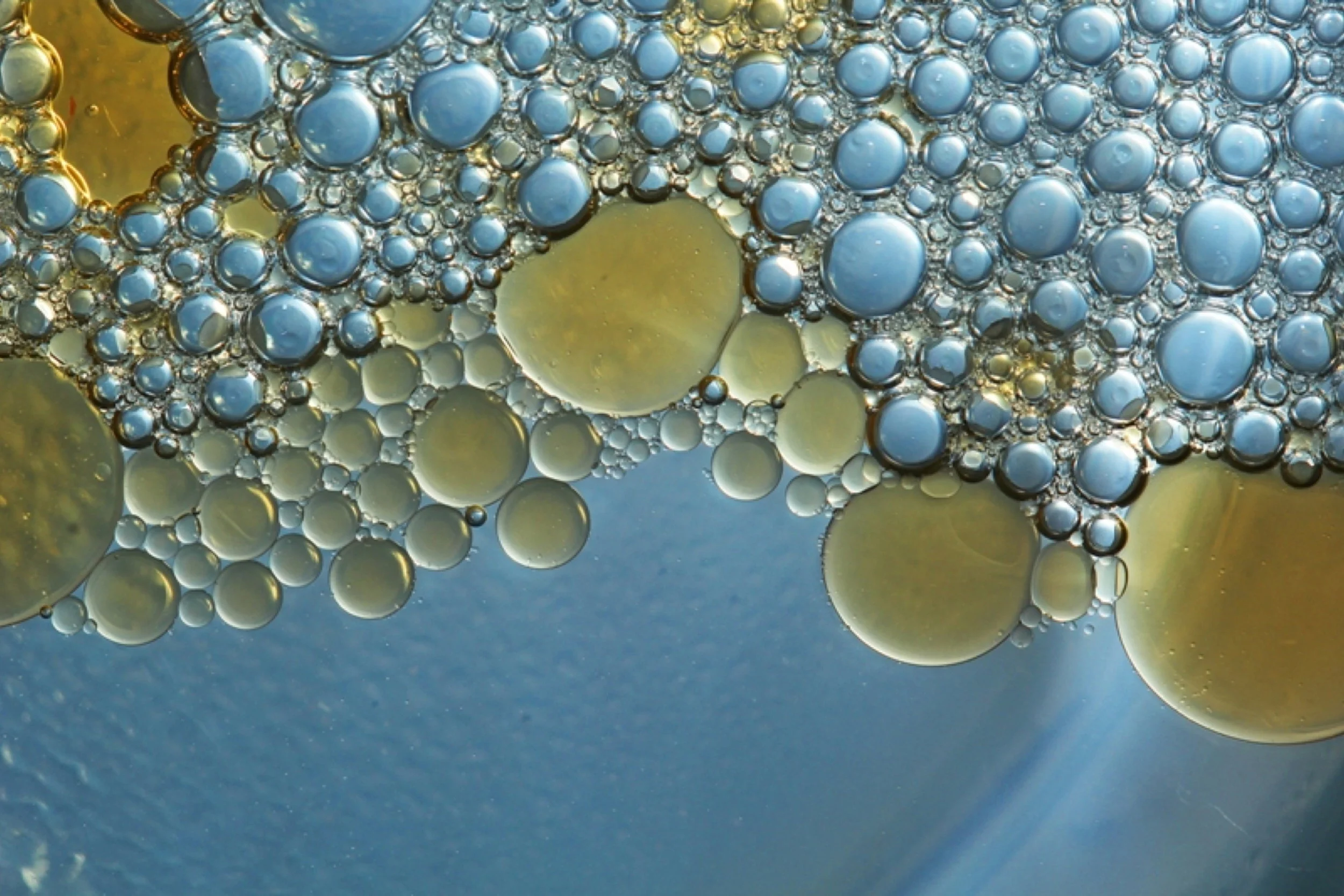 VEGETABLE OILS AND ESSENTIAL OILS