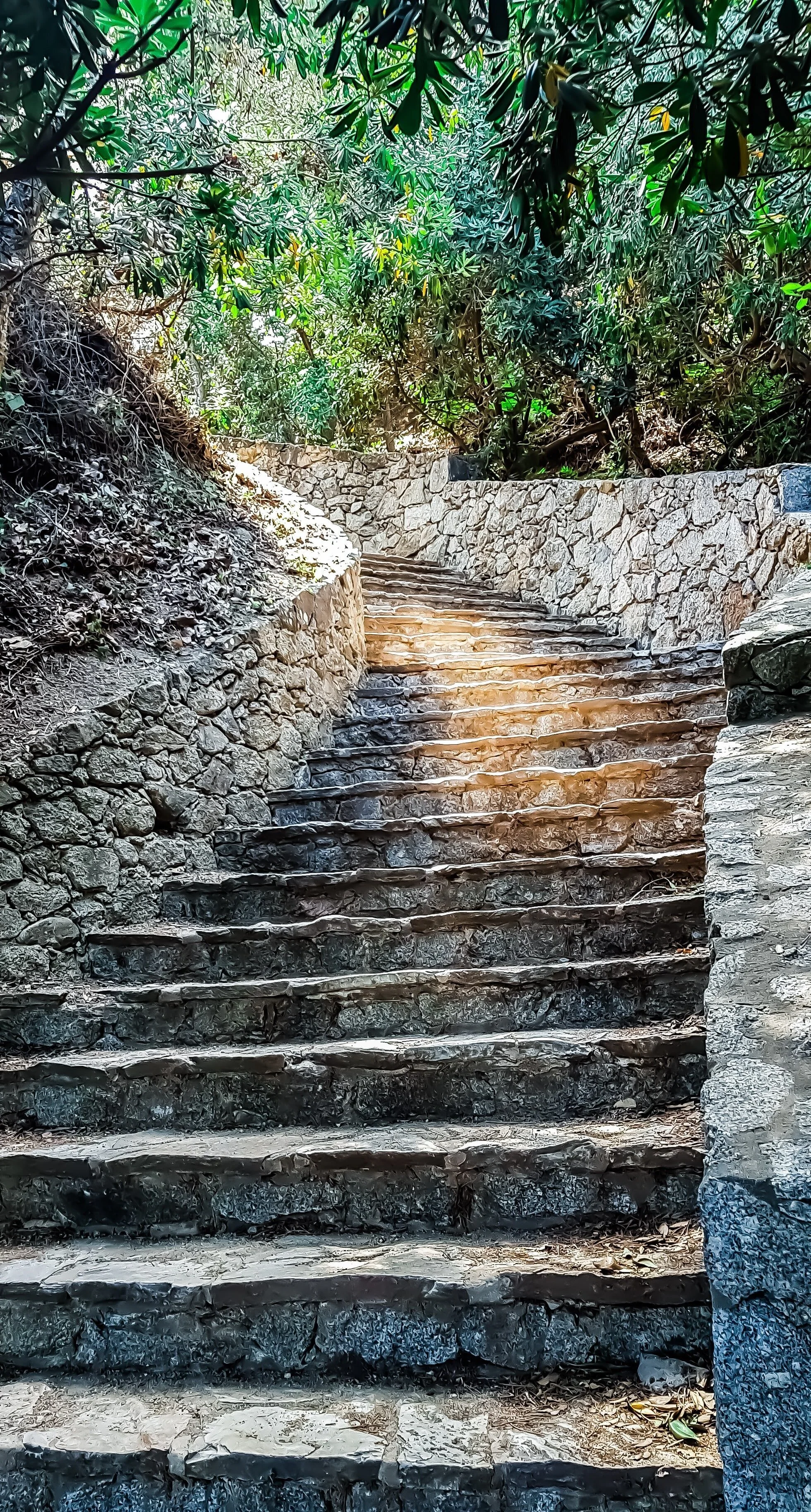 We never see the top of the stairs