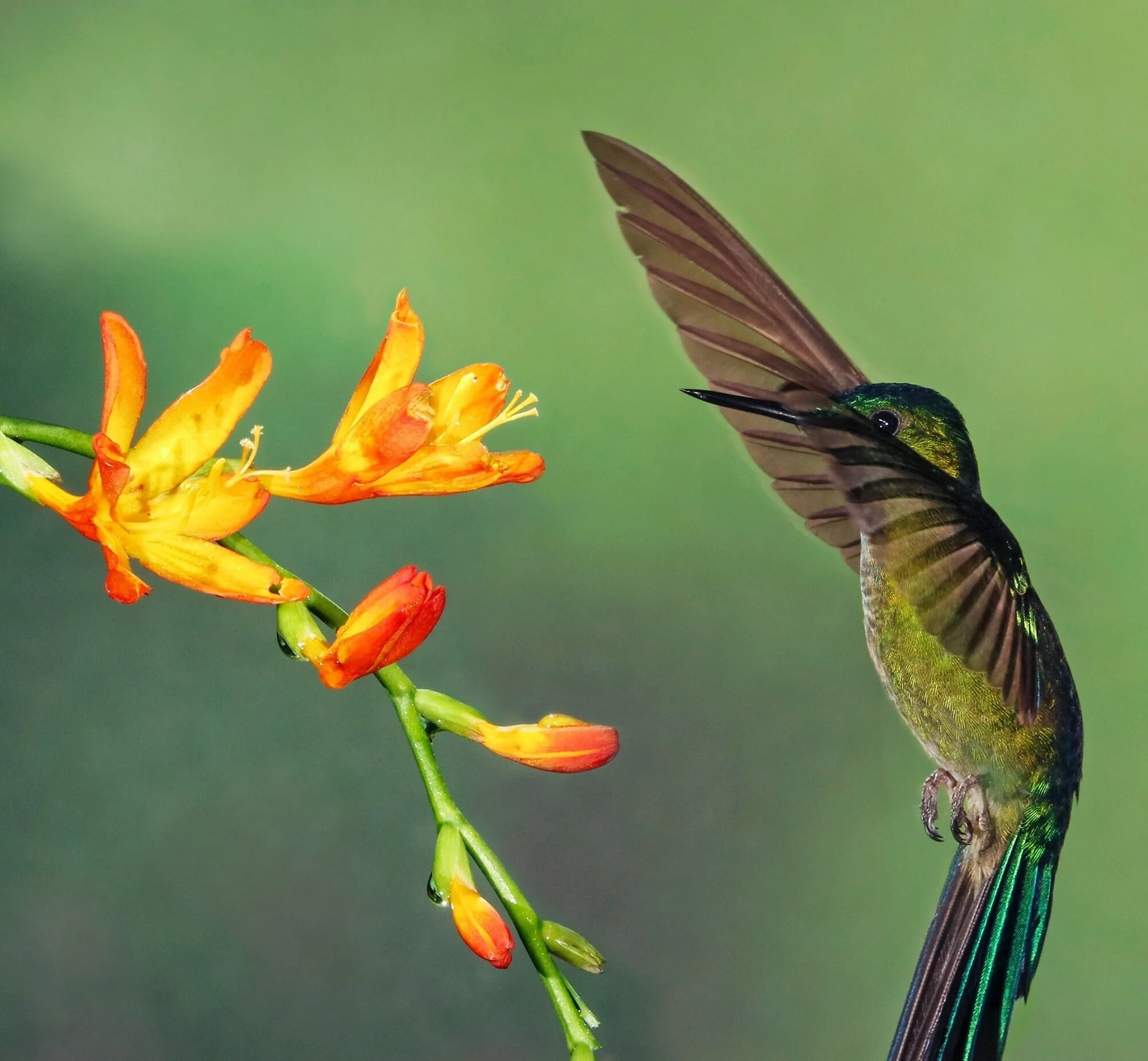 Why I stopped trying to manifest my ideal future