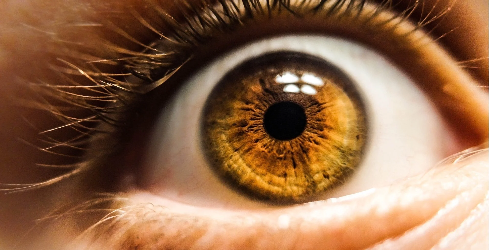 The thing you need to know about your mind in meditation
