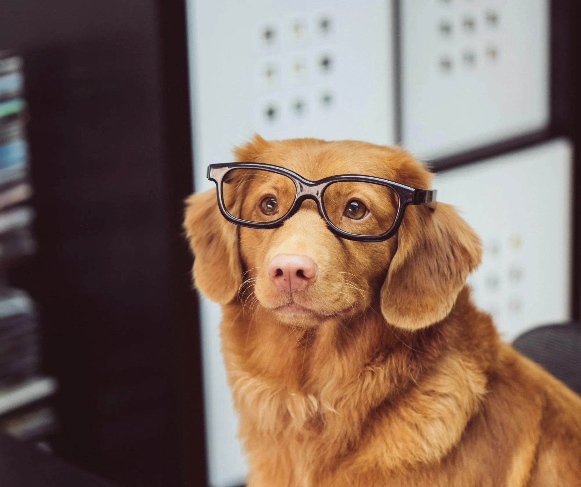 The Absurdity Of Beating A Mind To Train It