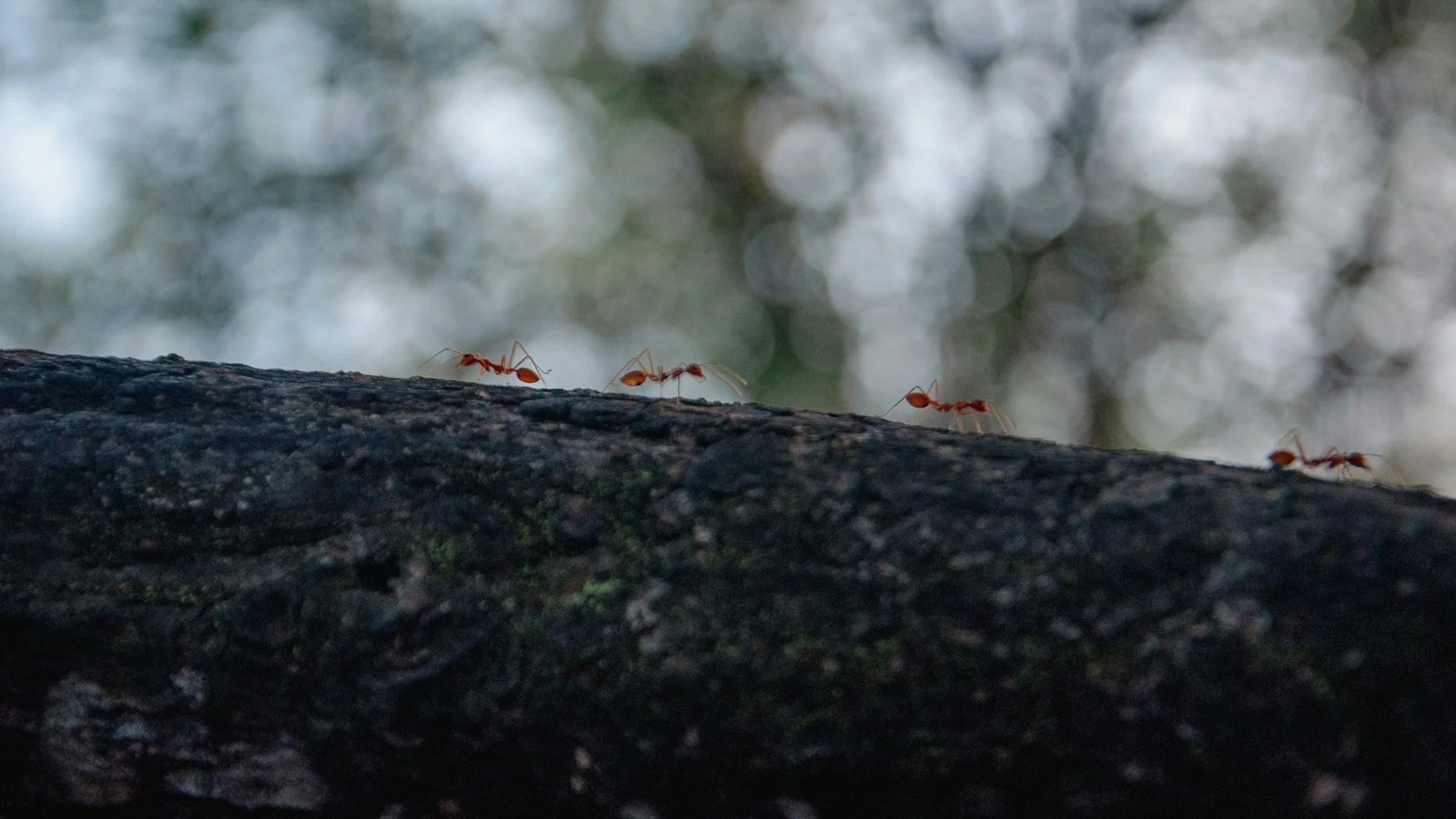 Why are you so busy?