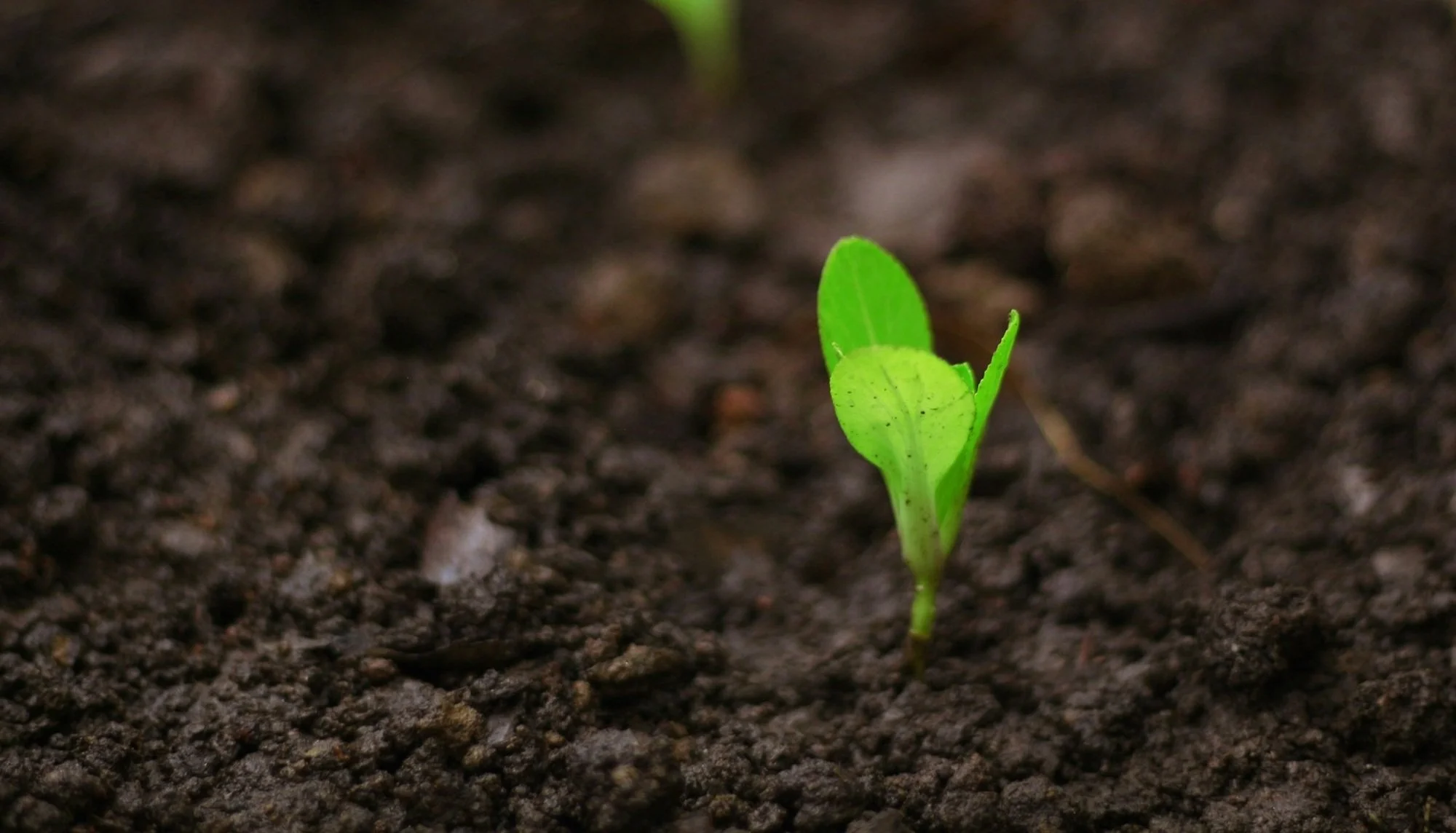 Rewriting Your Story: The Power of Starting Now