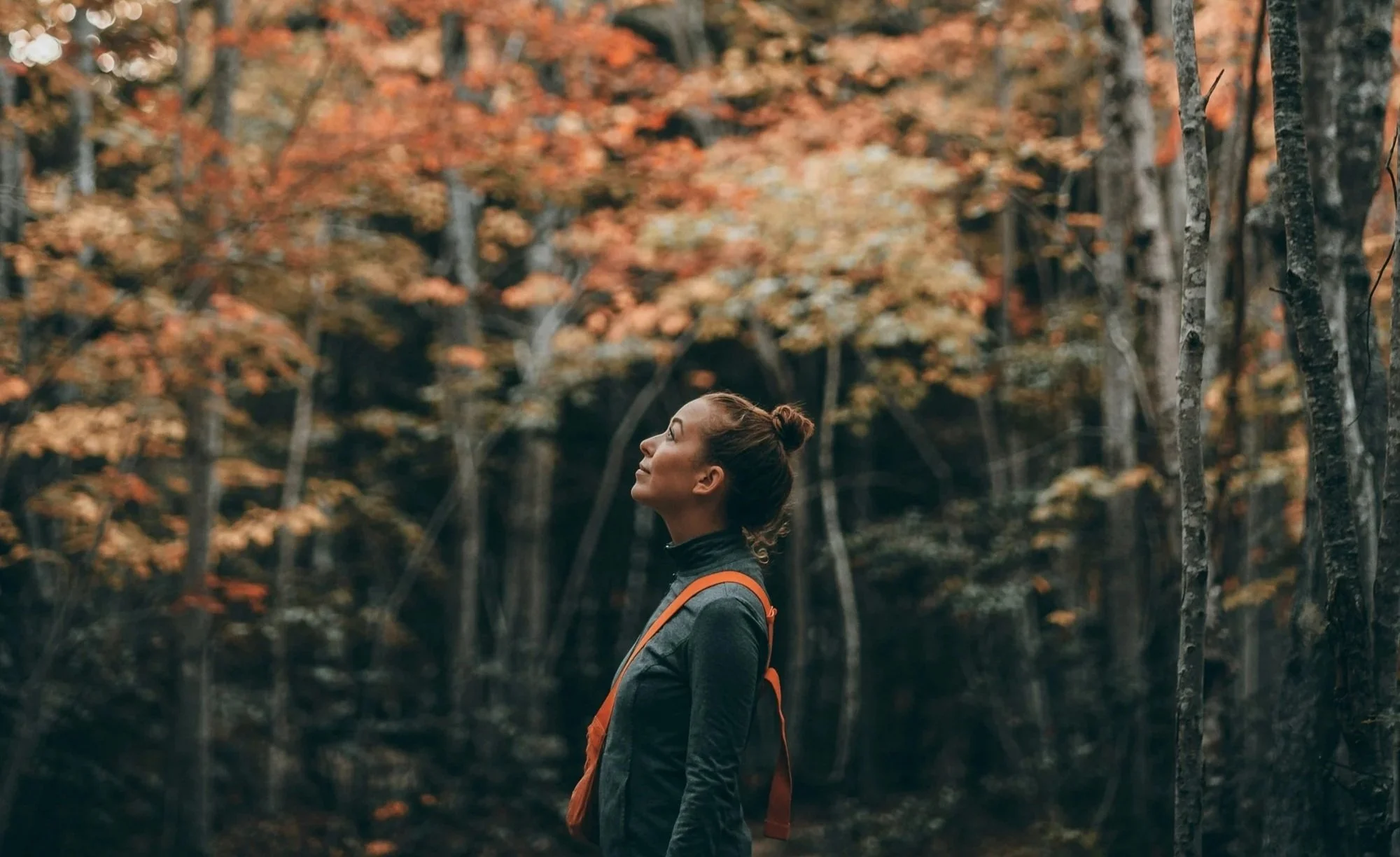 Why are you doing this?