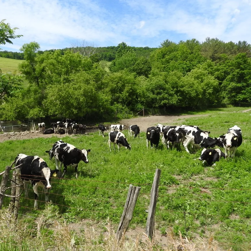 Battenkill Valley Creamery