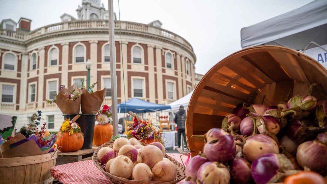 Celebrate fall at Schenectady Greenmarket! 🍂