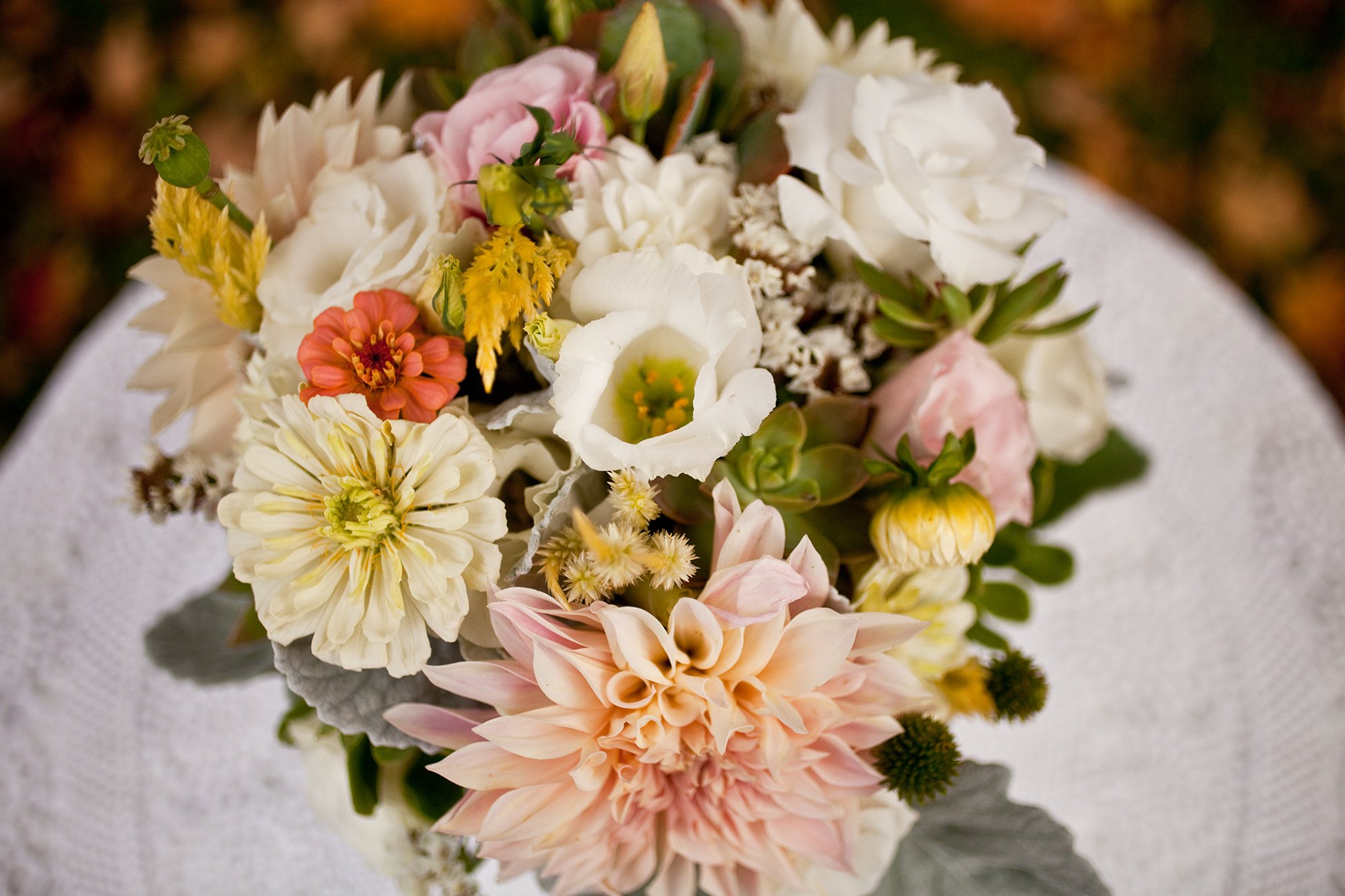 Art Farm Flowers