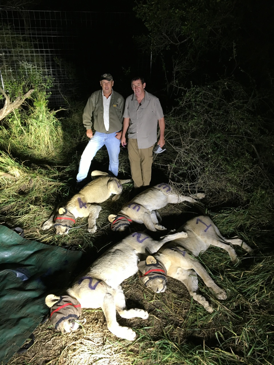 Mark Haldane and Ivan Carter after reading and recording microchips.