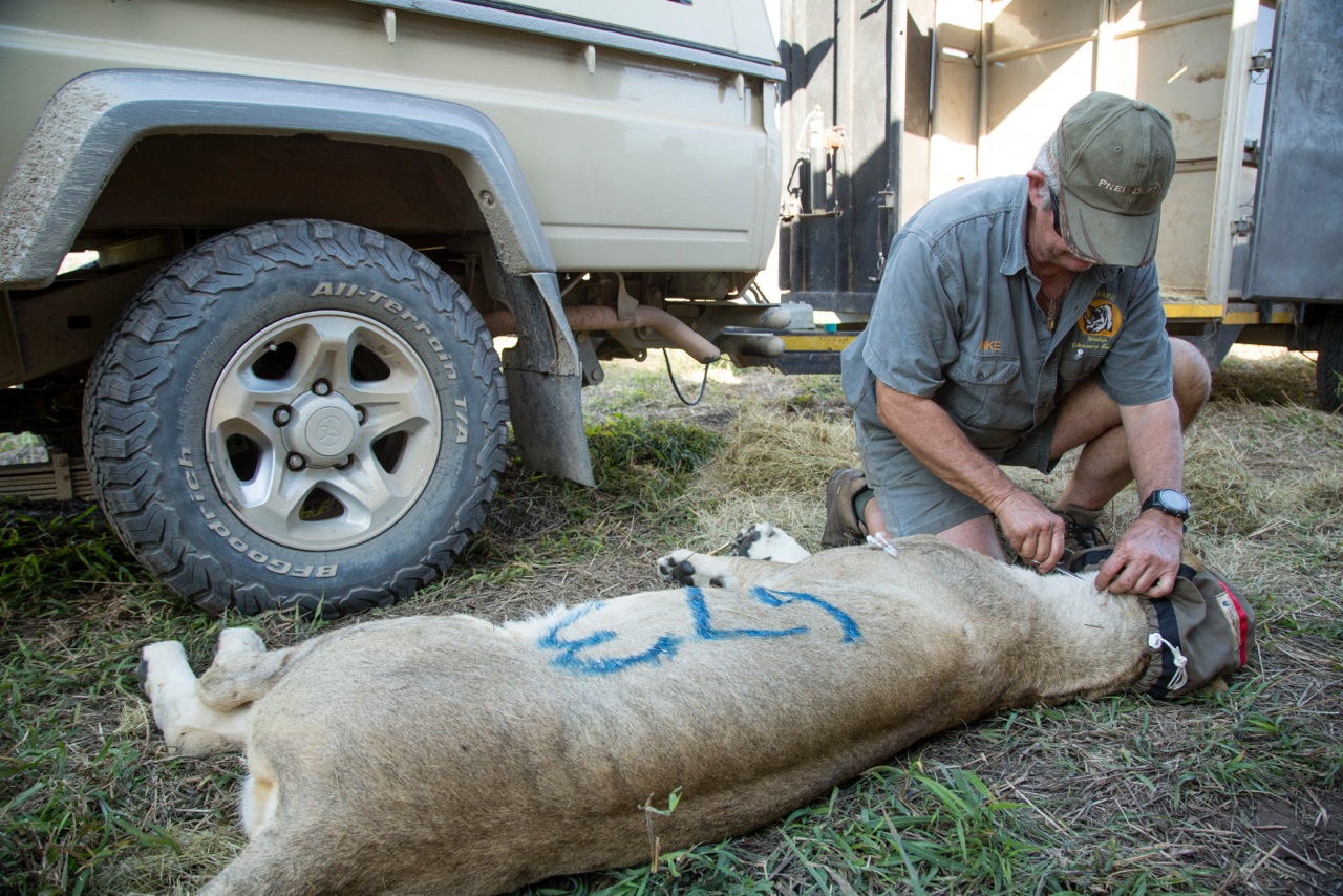 Mike Toft checking the TB test results.