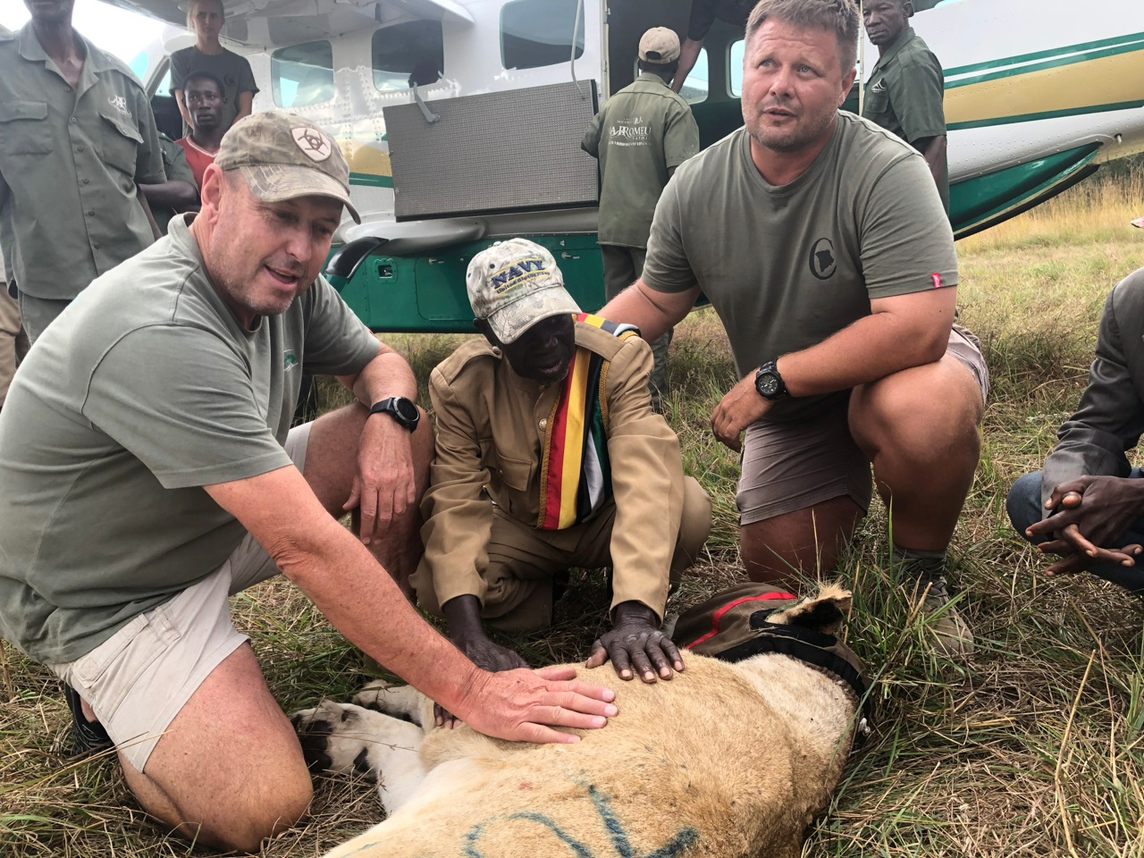 Mark Haldane and Anton Smit sit with chief Domingo Bichote and welcome the lions to the area.