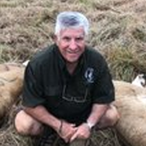 Carlos Pacheco Faria Carlos Pacheco Faria is a partner in Zambeze Delta Safaris and a loyal Mozambican citizen.