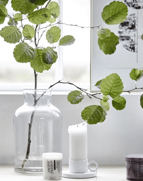 x-large-glass-jar-vase-36.gif,