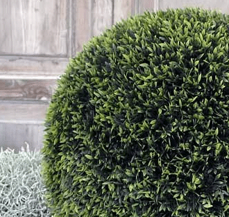 topiary-closeup.gif,