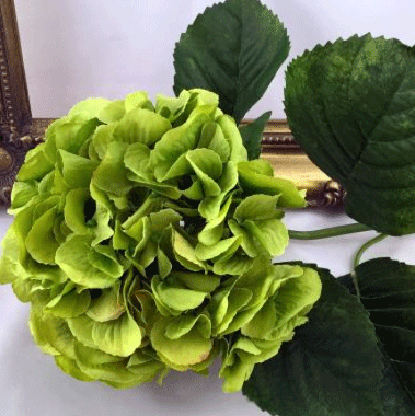 Green-H.gif